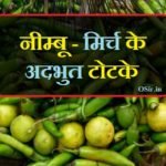 top nimbu mirch ke totko ke bare me jane