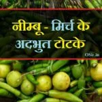 top nimbu mirch ke totko ke bare me jane