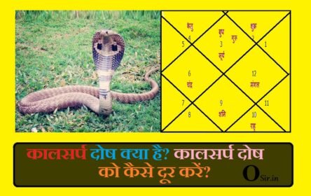 , कालसर्प दोष दूर करने का 1 रामबाण उपाय, कालसर्प दोष के फायदे, सर्प दोष क्या होता है, कालसर्प दोष सच या झूठ, कालसर्प दोष के नुकसान, कालसर्प कुंडली की पहचान, कालसर्प दोष के लक्षण क्या है, कालसर्प दोष कितने होते है, कालसर्प योग के फायदे, कालसर्प दोष के लक्षण, कालसर्प दोष का मंत्र, कालसर्प दोष के उपाय, कालसर्प दोष कितने होते है, कालसर्प दोष क्या है, कालसर्प पूजा के बाद प्रतिबंध, कालसर्प दोष के नुकसान, कालसर्प कुंडली की पहचान, कालसर्प दोष के लक्षण क्या है, कालसर्प दोष कितने प्रकार के होते है, kaal sarp dosh , kaal sarp dosh kya hota hai, kaal sarp dosh nivaran, kaal sarp dosh puja, kaal sarp dosh ke upay, kaal sarp dosh nivaran mantra, kaal sarp dosh in hindi, kaal sarp dosh ke lakshan, kaal sarp dosh ke prakar, kaal sarp dosh after 35 years, kaal sarp dosh and marriage, kaal sarp dosh astrosage, kaal sarp dosh astrology, kaal sarp dosh and pitra dosha, kaal sarp dosh analysis, kaal sarp dosh and pitra dosh in hindi, kaal sarp dosh aur uske upay, kaal sarp dosh benefits, kaal sarp dosh book, kaal sarp dosh book pdf, kaal sarp dosh bad effects, kaal sarp dosh benefits in hindi, kaal sarp dosh bhang, kaal sarp dosh by date of birth, kaal sarp dosh bengali, kaal sarp dosh calculator, kaal sarp dosh check, kaal sarp dosh celebrities, kaal sarp dosh calculator in hindi, kaal sarp dosh calculator free, kaal sarp dosh causes, kaal sarp dosh cure, how to see kaal sarp dosh, kaal sarp dosh dur karne ke upay, kaal sarp dosh dur karne ka mantra, kaal sarp dosh duration, kaal sarp dosh door karne ke upay, kaal sarp dosh dur karne ke upay in hindi, kaal sarp dosh details in hindi, kaal sarp dosh dates 2021, kaal sarp dosh details, , ,