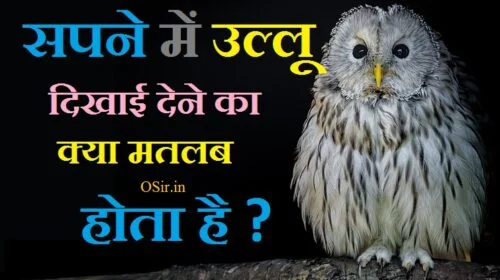 उल्लू के दर्शन कैसे होते हैं, owl in dream meaning , owl in dream hindu, owl in dream meaning in hindi,,, seeing owl in dream islam, killing owl in dream meaning, biblical meaning of owls in dreams, baby owl dream meaning, owl attack dream meaning, black owl dream meaning, सपना का अर्थ हिंदी में, स्वप्न फल लिस्ट PDF, सपनों का रहस्य इन हिंदी, स्वप्न का अर्थ हिंदी में, स्वप्न फल लाल किताब PDF, सुबह का सपना देखना, कौन से सपने देंगे कैसा फल, सुबह के सपने का मतलब,सपने में सफेद उल्लू को देखना, ख्वाब में उल्लू देखना, सपने में उल्लू की आवाज सुनना, सपने में उल्लू देखने का मतलब बताइए, रात में उल्लू के दर्शन, सपने में मरा उल्लू देखना, उल्लू को मारने से क्या होता है, ख्वाब में उल्लू देखना, घर में उल्लू आने से क्या होता है, उल्लू से धन प्राप्ति, उल्लू की आवाज को क्या कहते है, उल्लू की आवाज कैसी होती है, ullu ko sapne me dekhane ke fayade , ullu ko sapne me dekhane se jya hota hai , ullu ka ghar me aana shubh hai ya ashubha , ullu komarane se kya hota hai ,