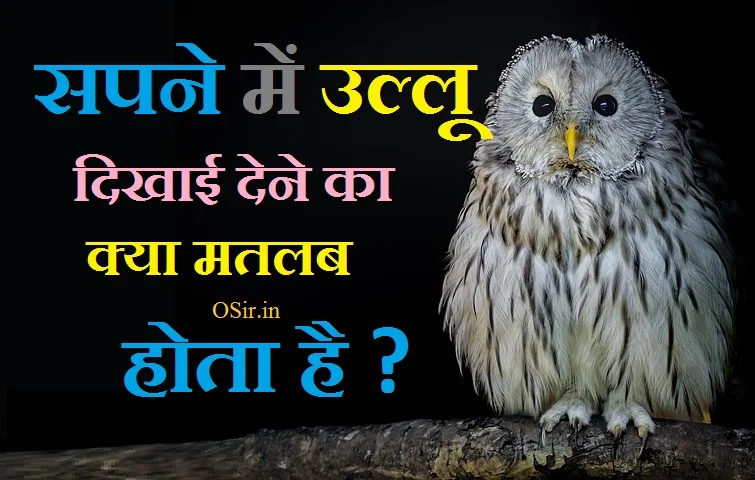 उल्लू के दर्शन कैसे होते हैं, owl in dream meaning , owl in dream hindu, owl in dream meaning in hindi,,, seeing owl in dream islam, killing owl in dream meaning, biblical meaning of owls in dreams, baby owl dream meaning, owl attack dream meaning, black owl dream meaning, सपना का अर्थ हिंदी में, स्वप्न फल लिस्ट PDF, सपनों का रहस्य इन हिंदी, स्वप्न का अर्थ हिंदी में, स्वप्न फल लाल किताब PDF, सुबह का सपना देखना, कौन से सपने देंगे कैसा फल, सुबह के सपने का मतलब,सपने में सफेद उल्लू को देखना, ख्वाब में उल्लू देखना, सपने में उल्लू की आवाज सुनना, सपने में उल्लू देखने का मतलब बताइए, रात में उल्लू के दर्शन, सपने में मरा उल्लू देखना, उल्लू को मारने से क्या होता है, ख्वाब में उल्लू देखना, घर में उल्लू आने से क्या होता है, उल्लू से धन प्राप्ति, उल्लू की आवाज को क्या कहते है, उल्लू की आवाज कैसी होती है, ullu ko sapne me dekhane ke fayade , ullu ko sapne me dekhane se jya hota hai , ullu ka ghar me aana shubh hai ya ashubha , ullu komarane se kya hota hai ,