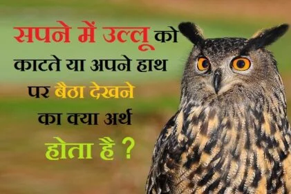sapne me ullu, sapne me ullu dekhna, sapne me ullu dekhna in hindi, sapne me billi dekhna, sapne me ullu ko marte dekhna, sapne me ullu ko marna, sapne me ullu dekhna ka matlab, sapne me ullu aana, sapne mein ullu aana, sapne mein ullu ki awaz sunna, ullu ka sapne me aana, sapne me ullu se baat karna, sapne mein ullu ka bolna, sapne me ullu, sapne me ullu dekhne se kya hota hai, sapne me billi dekhna in hindi, sapne me billi dekhne ka matlab, sapne me billi dekhna in islam, sapne me billi dekhna matlab, sapne mein ullu dekhna kaisa hota hai, sapne mein mare hue ullu dekhna, sapne mein ullu dekhna in hindi, sapne me ullu dekhna kaisa hota h, सपने में उल्लू की आवाज सुनना, sapne me ullu ko dekhna, sapne me ullu ka katna, sapne me ullu ko pakadna, sapne me ullu ka dikhna, sapne mein ullu ka dikhna, sapne mein ullu ka dekhna, sapne mein ullu ko marna, sapne mein ullu dekhne ka matlab, sapne mein ullu dekhne ka matlab kya hai, , उल्लू देखना शुभ या अशुभ, उल्लू के दर्शन कैसे होते हैं,, रात में उल्लू के दर्शन, उल्लू का दर्शन, उल्लू से धन प्राप्ति, उल्लू को घर में रखना चाहिए या नहीं, उल्लू के पंख के फायदे, उल्लू पालने के फायदे, उल्लू को मारने से क्या होता है, उल्लू के पैर किस काम आते हैं, उल्लू के फायदे, उल्लू के पंख के फायदे,, उल्लू को घर में रखना चाहिए या नहीं, उल्लू के पंख के फायदे बताइए, उल्लू की कीमत क्या है, उल्लू का महत्व, सपने में सफेद उल्लू को देखना,ullu ko sapne mein dekhana, ullu ko sapane mein dekhana kya hota hai, sapne me ullu ko dekhna, sapane me ullu ko pakadana , sapane mein ullu ko ,ख्वाब में उल्लू देखना, उल्लू के दर्शन कैसे होते हैं, स्वप्न में तोता देखना, उल्लू को मारने से क्या होता है, रात में उल्लू के दर्शन, उल्लू को घर में रखना चाहिए या नहीं, सपने में सफेद उल्लू को देखना, रात में सफेद उल्लू देखना, उल्लू के पैर किस काम आते हैं, उल्लू के पंख के फायदे, उल्लू पालने के फायदे, उल्लू को घर में रखना चाहिए या नहीं, उल्लू को भगाने के उपाय, उल्लू के पंजे के फायदे, उल्लू का महत्व, उल्लू का रहस्य, ullu ka rahasya , ullu ko raat me dekhane ka matab , ullu ko bhagane ka uapay,