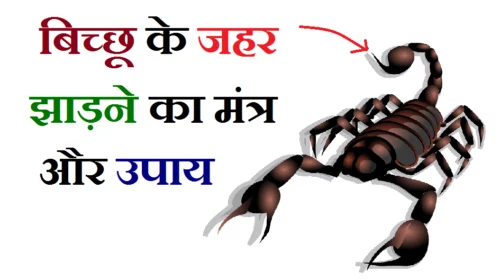 बिच्छू उतारने का मंत्र हिंदी में, बिच्छू का डंक के उपचार, बिच्छू का पौधा, बिच्छू उतारने की दवा, नजर उतारने का मंत्र, बिच्छू काटने की जड़ी बूटी, घर से बिच्छू भगाने के उपाय, बिच्छू का डंक के लक्षण, बिच्छू का डंक के उपचार, नजर उतारने का मंत्र, बिच्छू का पौधा, बिच्छू का डंक के लक्षण, बिच्छू उतारने की जड़ी बूटी, घर से बिच्छू भगाने के उपाय, बिच्छू काटने की अंग्रेजी दवा, बिच्छू का जहर उतारने की दुआ, बिछु काटने का उपाय, बिछु काटने मंत्र बताएं,, bicchu utarne ka mantra, bichhoo utarne ka mantra bataiye, बिच्छू उतारने का मंत्र बताएं, बिच्छू उतारने की दवा, बिच्छू काटने की अंग्रेजी दवा, बिच्छू का पौधा, बिछु काटने का उपाय, बिच्छू काटने की जड़ी बूटी, बिच्छू का डंक के उपचार, बिछु काटने की दुआ,