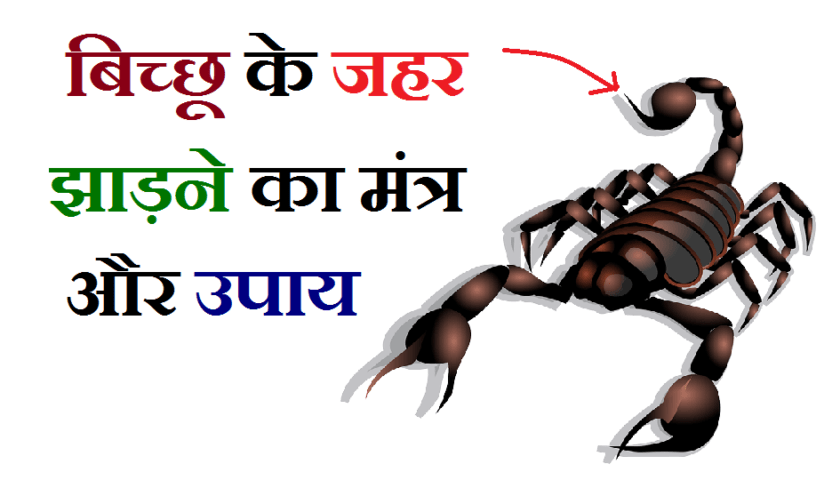 बिच्छू उतारने का मंत्र हिंदी में, बिच्छू का डंक के उपचार, बिच्छू का पौधा, बिच्छू उतारने की दवा, नजर उतारने का मंत्र, बिच्छू काटने की जड़ी बूटी, घर से बिच्छू भगाने के उपाय, बिच्छू का डंक के लक्षण, बिच्छू का डंक के उपचार, नजर उतारने का मंत्र, बिच्छू का पौधा, बिच्छू का डंक के लक्षण, बिच्छू उतारने की जड़ी बूटी, घर से बिच्छू भगाने के उपाय, बिच्छू काटने की अंग्रेजी दवा, बिच्छू का जहर उतारने की दुआ, बिछु काटने का उपाय, बिछु काटने मंत्र बताएं,, bicchu utarne ka mantra, bichhoo utarne ka mantra bataiye, बिच्छू उतारने का मंत्र बताएं, बिच्छू उतारने की दवा, बिच्छू काटने की अंग्रेजी दवा, बिच्छू का पौधा, बिछु काटने का उपाय, बिच्छू काटने की जड़ी बूटी, बिच्छू का डंक के उपचार, बिछु काटने की दुआ,