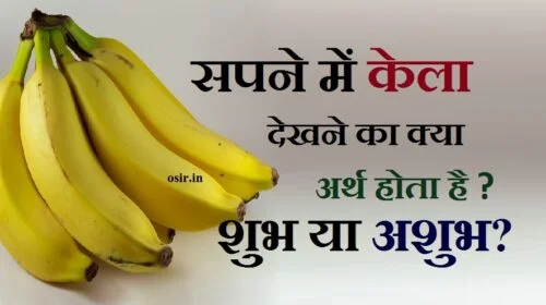 सपने में केला देखने का मतलब क्या होता है,sapne me banana, , sapne me banana dekhna, sapne me banana khana, sapne me banana tree dekhna, sapne me banana kharidna, sapne me banana dikhna,, गर्भवती महिला सपने में केला देखना,, केला का पेड़ काटने से क्या होता है,, सपने में केले का फूल देखना,, सपने में केले का गुच्छा देखना,, सपने में केला का पेड़ दिखे तो क्या होता है,, सपने में खराब केला देखना,, सपने में केले का पेड़ लगाते हुए देखना,, सपने में केले का फूल देखना,, सपने में केला खाते हुए देखना,, सपने में फल देखना,, सपने में केला देखना शुभ या अशुभ,, सपने में खराब केला देखना,, सपने मे केले का पेड़ देखना,, सपने में केला का पेड़ दिखे तो क्या होता हैसपने में कच्चा केला देखना,, केला का पेड़ काटने से क्या होता है,, सपने में केला और सेब देखना,, sapne me kela dekhana ,, sapne me kela dekhane se kya hota hai,, sapne me kele ka chhilka dekhane se kya hota hai ,, sapne me kele ka phool dekhana ,, sapne me kela khate huye dekhana ,, sapne me kela bechate dekhana ,, sapne me kela khareedate ,,