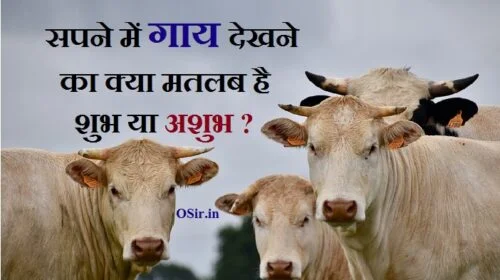 ,, सपने में गाय की बछड़ी देखना,सपने में सफेद गाय देखने का क्या अर्थ होता है, Sapne me gaay dekhna, , sapne mein gaay dekhna, sapne mein gaay dekhna kya hota hai, sapne mein gaay dekhna shubh ya ashubh, sapne mein gaay dekhna kya matlab hai, sapne mein gaay dekhna video, sapne me safed gaay dekhna, sapne me kali gaay dekhna, sapne me mari gaay dekhna, sapne me gaay dekhna, sapne me gaay aur bachda dekhna, sapne me gaay aur bail dekhna, pregnancy me sapne me gaay dekhna, sapne me gaay ka baccha dekhna, sapne me gaay bail dekhna, sapne me gaay bhains dekhna, sapne me gaay bachda dekhna, sapne mein gaay bachana dekhna, sapne mein gaay bail dekhna, sapne me gaay ka bachda dekhna, sapne me gaay ka bachcha dekhna, सपने में गाय देखना , सपने में गाय देखना कैसा होता है, सपने में गाय देखना क्या होता है, सपने में गाय देखना सफेद, सपने में गाय देखना क्या मतलब होता है, सपने में गाय देखना, सपने में गाय देखना काली, सपने में गाय देखना कैसा, सपने में गाय देखना क्या मतलब, सपने में गाय देखना का मतलब, सपने में गाय देखना का मतलब क्या होता है, गाय को सपने में देखना, सपने में गाय का देखना क्या होता है, सपने में गाय का देखना शुभ या अशुभ, सपने में गाय का देखना कैसा है, ,, सपने में गाय और सांड देखना,, सपने में लाल गाय को देखना,, सपने में गाय का बछड़ा देखना,, सपने में काली गाय को देखना,, सपने में काली गाय और बछड़ा देखना,, सपने में गाय का दूध निकालने का मतलब,, सपने में भूरी गाय देखना,, सपने में भैंस का दूध निकालने का मतलब,, सपने में दूध से भरा बर्तन देखना,, सपने में दूध से भरी बाल्टी देखना,, सपने में गाय का बच्चा होते देखना,, सपने में लाल गाय देखने का क्या मतलब है,, सपने में लाल गाय देखना,, सपने में गाय को देखना,, सपने में गाय की बछड़ी देखनासपने में लाल गाय को देखना,, सपने में गाय और सांड देखना,, सपने में काली गाय को देखना,, सपने में काली गाय और बछड़ा देखना,, sapne me gaay dekhane ka matlab ,, sapne me kali gaay dekhane ,, sapne me gaay ka bachha dekhane ka matlab ,, sapne me lal gaay dekhana ,, sapne me bhoori gay dekhana ,, sapne me lal gaay dekhana ,, ,,