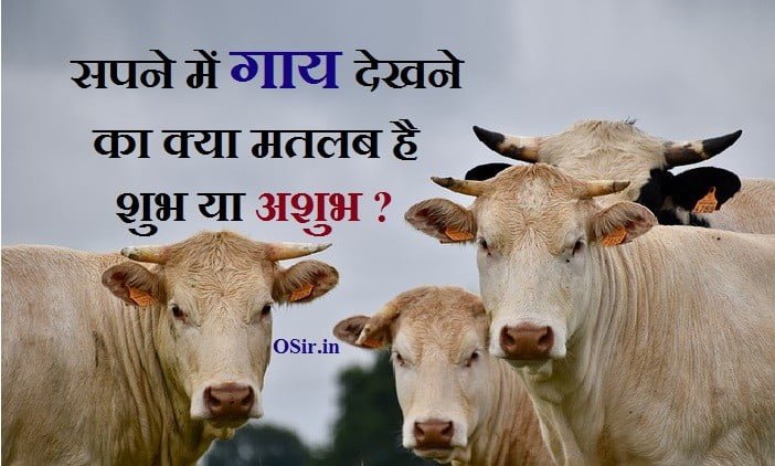 ,, सपने में गाय की बछड़ी देखना,सपने में सफेद गाय देखने का क्या अर्थ होता है, Sapne me gaay dekhna, , sapne mein gaay dekhna, sapne mein gaay dekhna kya hota hai, sapne mein gaay dekhna shubh ya ashubh, sapne mein gaay dekhna kya matlab hai, sapne mein gaay dekhna video, sapne me safed gaay dekhna, sapne me kali gaay dekhna, sapne me mari gaay dekhna, sapne me gaay dekhna, sapne me gaay aur bachda dekhna, sapne me gaay aur bail dekhna, pregnancy me sapne me gaay dekhna, sapne me gaay ka baccha dekhna, sapne me gaay bail dekhna, sapne me gaay bhains dekhna, sapne me gaay bachda dekhna, sapne mein gaay bachana dekhna, sapne mein gaay bail dekhna, sapne me gaay ka bachda dekhna, sapne me gaay ka bachcha dekhna, सपने में गाय देखना , सपने में गाय देखना कैसा होता है, सपने में गाय देखना क्या होता है, सपने में गाय देखना सफेद, सपने में गाय देखना क्या मतलब होता है, सपने में गाय देखना, सपने में गाय देखना काली, सपने में गाय देखना कैसा, सपने में गाय देखना क्या मतलब, सपने में गाय देखना का मतलब, सपने में गाय देखना का मतलब क्या होता है, गाय को सपने में देखना, सपने में गाय का देखना क्या होता है, सपने में गाय का देखना शुभ या अशुभ, सपने में गाय का देखना कैसा है, ,, सपने में गाय और सांड देखना,, सपने में लाल गाय को देखना,, सपने में गाय का बछड़ा देखना,, सपने में काली गाय को देखना,, सपने में काली गाय और बछड़ा देखना,, सपने में गाय का दूध निकालने का मतलब,, सपने में भूरी गाय देखना,, सपने में भैंस का दूध निकालने का मतलब,, सपने में दूध से भरा बर्तन देखना,, सपने में दूध से भरी बाल्टी देखना,, सपने में गाय का बच्चा होते देखना,, सपने में लाल गाय देखने का क्या मतलब है,, सपने में लाल गाय देखना,, सपने में गाय को देखना,, सपने में गाय की बछड़ी देखनासपने में लाल गाय को देखना,, सपने में गाय और सांड देखना,, सपने में काली गाय को देखना,, सपने में काली गाय और बछड़ा देखना,, sapne me gaay dekhane ka matlab ,, sapne me kali gaay dekhane ,, sapne me gaay ka bachha dekhane ka matlab ,, sapne me lal gaay dekhana ,, sapne me bhoori gay dekhana ,, sapne me lal gaay dekhana ,, ,,