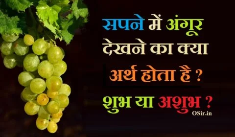 प्रेगनेंसी में सपने में अंगूर देखना,grape in dream hindi , , grapes in dream in hindi, grapes in dream, grapes in dream hindu meaning, what is the meaning of grapes in a dream, what does it mean to see grapes in your dream, what is the meaning of eating grapes in a dream, what does it mean to eat grapes in a dream, सपने में काले अंगूर खाना, सपने में काला अंगूर खाना, सपने में काला अंगूर खाते हुए देखना , सपने में हरा अंगूर देखना , सपने में अंगूर खाते हुए देखना , sapne me angoor dekhana , , sapne me angoor dekhna, sapne me angur dekhna in hindi, sapne mein angoor dekhna kaisa hota hai, sapne me angur khate dekhna, sapne me ajgar ko dekhna, sapne mein angur khate dekhna, sapne me angur ka bagicha dekhna, sapne me angur ka guchha dekhna, sapne me angoor khatte dekhna, सपने में अंगूर का देखना, sapne me angoor ki bel dekhna, sapne mein angoor ki bel dekhna, sapne me angoor, sapne me angoor khana, ,