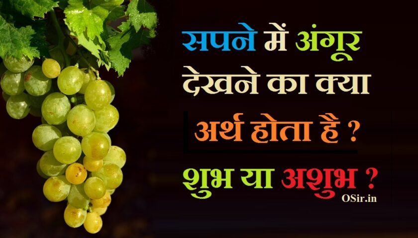 प्रेगनेंसी में सपने में अंगूर देखना,grape in dream hindi , , grapes in dream in hindi, grapes in dream, grapes in dream hindu meaning, what is the meaning of grapes in a dream, what does it mean to see grapes in your dream, what is the meaning of eating grapes in a dream, what does it mean to eat grapes in a dream, सपने में काले अंगूर खाना, सपने में काला अंगूर खाना, सपने में काला अंगूर खाते हुए देखना , सपने में हरा अंगूर देखना , सपने में अंगूर खाते हुए देखना , sapne me angoor dekhana , , sapne me angoor dekhna, sapne me angur dekhna in hindi, sapne mein angoor dekhna kaisa hota hai, sapne me angur khate dekhna, sapne me ajgar ko dekhna, sapne mein angur khate dekhna, sapne me angur ka bagicha dekhna, sapne me angur ka guchha dekhna, sapne me angoor khatte dekhna, सपने में अंगूर का देखना, sapne me angoor ki bel dekhna, sapne mein angoor ki bel dekhna, sapne me angoor, sapne me angoor khana, ,