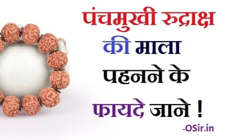 panchmukhi rudraksha wearing rules, Rudraksha Mala kyu pahne, , rudraksha mala pahanne ke fayde, rudraksha mala to wear, rudraksha mala care, rudraksha mala hand, rudraksha mala background, rudraksha mala details, rudraksha mala pehne ke niyam, rudraksha mala pehne ke fayde, rudraksha mala pahane ke niyam, ,ek mukhi rudraksha, rudraksha wearing rules for females, panch mukhi rudraksha price,, panch mukhi rudraksh mala, 5 mukhi rudraksha mala price, 5 mukhi rudraksha original, 5 mukhi rudraksha astrology, 5 mukhi rudraksha benefits in hindi, 6 mukhi rudraksha benefits, how to keep rudraksha at home, 5 mukhi rudraksha original, 7 मुखी रुद्राक्ष पहनने के फायदे, 3 मुखी रुद्राक्ष पहनने के फायदे, रुद्राक्ष पहनने के फायदे और नुकसान, 2 मुखी रुद्राक्ष पहनने के फायदे, 1 मुखी रुद्राक्ष पहनने के फायदे, 5 मुखी रुद्राक्ष पहनने के फायदे, 6 मुखी रुद्राक्ष पहनने के फायदे, Rudraksha dharan Muhurat 2021,