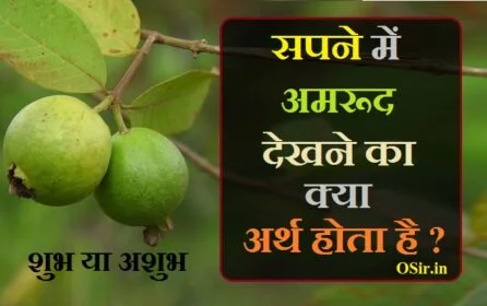 सपने में अमरूद देखना उसका मतलब,Guava in a dream hindi guava in dream in hindi, guava in dream, guava in dream meaning, guava in dream meaning in hindi, guava in dream during pregnancy, guava in dream islam, guava in dream moods, guava in dream symbolizes, plucking guava in dream, eating guava in dream, guava in a dream, guava dream analysis, eating guava in a dream, plucking guava in a dream, guava tree in a dream, guava fruit in a dream, seeing guava in a dream, white guava in a dream, buying guava in dream, big guava in dream, what does guava mean in a dream, what is the meaning of eating guava in dream, सपने में पके हुए अमरूद तोड़ना, प्रेगनेंसी में अमरूद देखना, सपने में पके हुए अमरूद तोड़ना, सपने में पेड़ पर अमरूद लगे हुए देखना, सपने में अमरूद खाते हुए, सपने में अमरूद देखना कैसा होता है, सपने में अमरूद का पेड़ देखना, सपने में अमरूद बेचते देखना , sapne me marood dekhana , sapne me amrood dekhna, sapne mein amrood dekhna, sapne me amrud dekhna in hindi, sapne mein amrood dekhna kya hota hai, sapne me amrud dekhna in pregnancy, sapne mein amrud dekhna, sapne mein amrud dekhna kaisa hota hai, sapne mein amrud dekhna kya hota hai, sapne me maroon colour dekhna, sapne mein maroon colour dekhna, pregnancy me sapne me amrud dekhna, sapne me amrood ka ped dekhna, sapne me amrood ka tree dekhna, sapne me paka amrood dekhna, ,