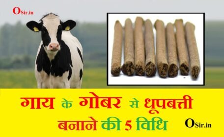 , मच्छर धूपबत्ती बनाने की विधि, धूपबत्ती बनाने की मशीन की कीमत, सुगंधित धूप बनाने की विधि, गोबर से धूपबत्ती बनाने की मशीन, गाय के गोबर की धूपबत्ती, दशांग धूप बनाने की विधि, धुप बत्ती रॉ मटेरियल, फूलों से धूपबत्ती बनाना, धूपबत्ती बनाने की सामग्री, गाय के गोबर से बनी धूप, फूलों से धूपबत्ती बनाना, गोबर से धूपबत्ती बनाने की मशीन, धूपबत्ती बनाने की मशीन की कीमत, मच्छर धूपबत्ती बनाने की विधि, धुप बत्ती रॉ मटेरियल, गोबर धूपबत्ती, gaaye ke gobar se dhoop batti, , गाय के गोबर से धूपबत्ती, gai ke gobar ki dhoop batti, gobar se agarbatti, gobar se dhoop batti banana, gobar se dhoop batti, , , gobar se dhoop batti banane ki vidhi, gobar se dhoop batti kaise banaye, gobar se dhup batti kaise banaye, gobar se dhup batti, gobar se dhoop batti banane ka formula, gobar se dhoop batti banana, gobar se agarbattai, gobar ki dhoop batti, , ,