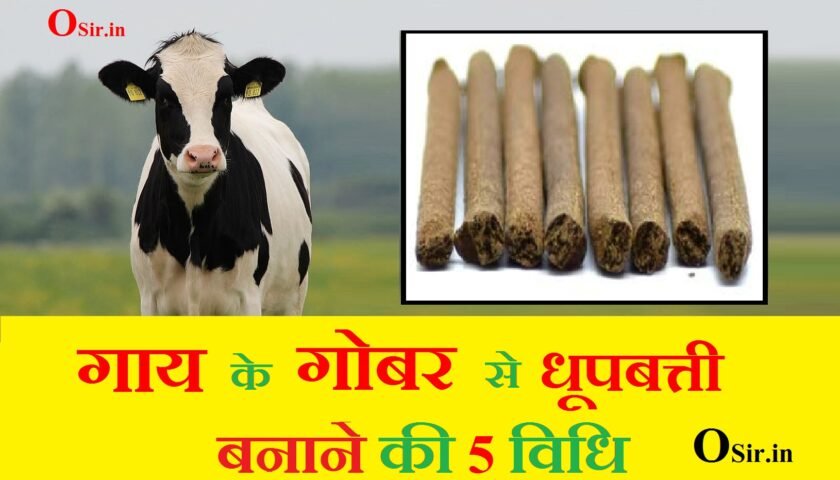 , मच्छर धूपबत्ती बनाने की विधि, धूपबत्ती बनाने की मशीन की कीमत, सुगंधित धूप बनाने की विधि, गोबर से धूपबत्ती बनाने की मशीन, गाय के गोबर की धूपबत्ती, दशांग धूप बनाने की विधि, धुप बत्ती रॉ मटेरियल, फूलों से धूपबत्ती बनाना, धूपबत्ती बनाने की सामग्री, गाय के गोबर से बनी धूप, फूलों से धूपबत्ती बनाना, गोबर से धूपबत्ती बनाने की मशीन, धूपबत्ती बनाने की मशीन की कीमत, मच्छर धूपबत्ती बनाने की विधि, धुप बत्ती रॉ मटेरियल, गोबर धूपबत्ती, gaaye ke gobar se dhoop batti, , गाय के गोबर से धूपबत्ती, gai ke gobar ki dhoop batti, gobar se agarbatti, gobar se dhoop batti banana, gobar se dhoop batti, , , gobar se dhoop batti banane ki vidhi, gobar se dhoop batti kaise banaye, gobar se dhup batti kaise banaye, gobar se dhup batti, gobar se dhoop batti banane ka formula, gobar se dhoop batti banana, gobar se agarbattai, gobar ki dhoop batti, , ,