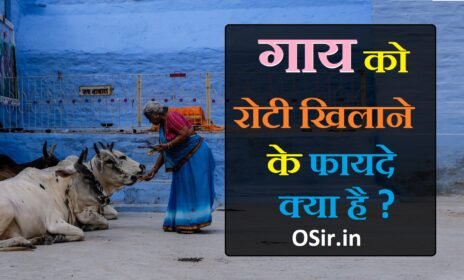 गाय को चने की दाल खिलाने के फायदे, गाय को गुड़ देने के फायदे, गाय को हरा चारा खिलाने के फायदे, कुत्ते को रोटी खिलाने के फायदे, गाय को चावल खिलाने के फायदे, शनिवार को गाय को क्या खिलाना चाहिए, गाय को गुड़ खाने के फायदे, गाय को केला खिलाने के फायदे, गाय को चावल खिलाने के फायदे, गाय को पालक खिलाने के फायदे, गाय को हरा चारा खिलाने के फायदे, गाय को चूना खिलाने के फायदे, पहली रोटी गौ माता की रोजी-रोटी काले कुत्ते की, गुरुवार को गाय को क्या खिलाना चाहिए, gaaye ko roti khilane ke fayde , cow ko roti khilane ke fayde, kali cow ko roti khilane ke fayde, गाय को रोटी खिलाने के फायदे, गाय को रोटी खिलाने के फायदे बताओ, गाय माता को रोटी खिलाने के फायदे, गाय को रोटी खिलाने के फायदे बताएं, गाय को रोटी खिलाने के फायदे बताइए, cow ko gud roti khilane ke fayde, gaaye ko roti khilana, gaay ko roti, gaay ko roti dena,
