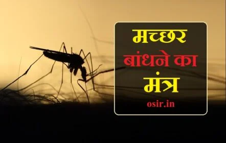 मच्छर बांधने का ग्रामीण मंत्र, मच्छर को बांधने का मंत्र, मच्छर भगाने का शाबर मंत्र, मधुमक्खी बांधने का मंत्र, मच्छर भगाने का मंत्र बताइए, आग बांधने का मंत्र, देह बांधने का मंत्र, मच्छर भगाने का मंत्र, काम बांधने का मंत्र, अग्नि को बांधने का मंत्र, नजर बांधने का मंत्र बताओ, जमीन बांधने का मंत्र, बांधने का मंत्र, थप्पड़ बांधने का मंत्र, दिमाग बांधने का मंत्र, धार बांधने का मंत्र, देवता बांधने का मंत्र, नजर बांधने का सिद्ध मंत्र, नजर बांधने का मंत्र, आग बांधने वाला मंत्र, बुखार बांधने का मंत्र, आगे बांधने का मंत्र, मच्छर बांधने का शाबर मंत्र, नजर बांधने का मंत्र बताइए, नजर बांधने का मंत्र बताएं, किसी चीज को बांधने का मंत्र, मच्छर बांधने का ग्रामीण मंत्र, मच्छर को बांधने का मंत्र, mosquito repellent techniques, mosquito repellent usage, mosquito repellent content, mosquito repellent application, mosquito repellent making, do mosquito repellent work, gm mosquito repellent, gm mosquito repellent review, gm mosquito repellent machine, gm mosquito repeller price, is mosquito repellent safe, are mosquito repellents harmful, mosquito repellent ayurvedic, mosquito repellent music, mosquito repellent song, mosquito repellent gm, मच्छर बांधने का मंत्र, machar bhagane ka mantra, आगे बांधने का मंत्र, अक्षर मंत्र, लगाने का मंत्र, ऊ मंत्र, किसी चीज को बांधने का मंत्र, ओके मंत्र, हांडी उड़ाने का मंत्र, अं बीज मंत्र, देह बांधने का मंत्र, काम बांधने का मंत्र, ghar bandhne ka mantra, छतरी मंत्र, विद्या बांधने का मंत्र, आदमी बांधने का मंत्र, ञ वाले शब्द, ञ का उच्चारण मराठी, ञ अक्षर से शब्द, थाली बांधने का मंत्र, थप्पड़ बांधने का मंत्र, dhaga bandhne ka mantra, ण वाले शब्द, देव बांधने का मंत्र, न मंत्रो न यंत्र, फल चढ़ाने का मंत्र, सभी प्रकार के मंत्र, त्र वाले शब्द, त्र अक्षर वाले शब्द, मच्छर भगाने का मंत्र बताइए, एक के मंत्र, मधुमक्खी बांधने का मंत्र, machar nashak lamp