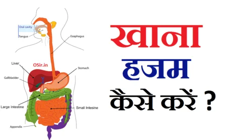 khana kaise hajam karen thumnbnail
