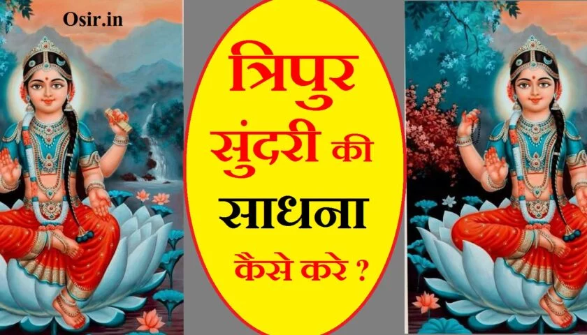 tripura sundari sadhana kya hai bala tripura sundari mantra sadhana त्रिपुर सुंदरी साधना के लाभ त्रिपुर सुंदरी साधना कैसे करें