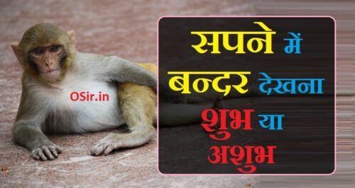 sapne me bandar dekhne ka matlab, sapne me lal muh ka bandar dekhna, अगर सपने में बंदर दिखाई दे तो क्या होता है सपने में बंदर देखना कैसा रहता है