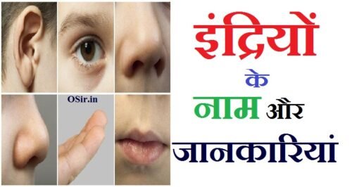 indriyon k naam aur jankari