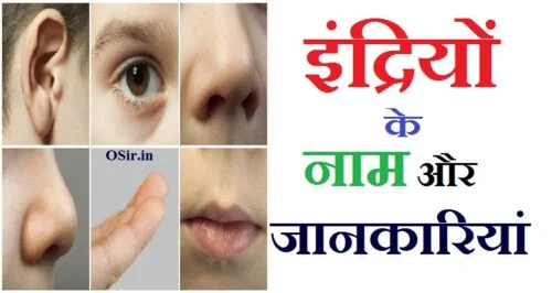 indriyon k naam aur jankari