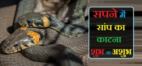sapne me saap ka katna