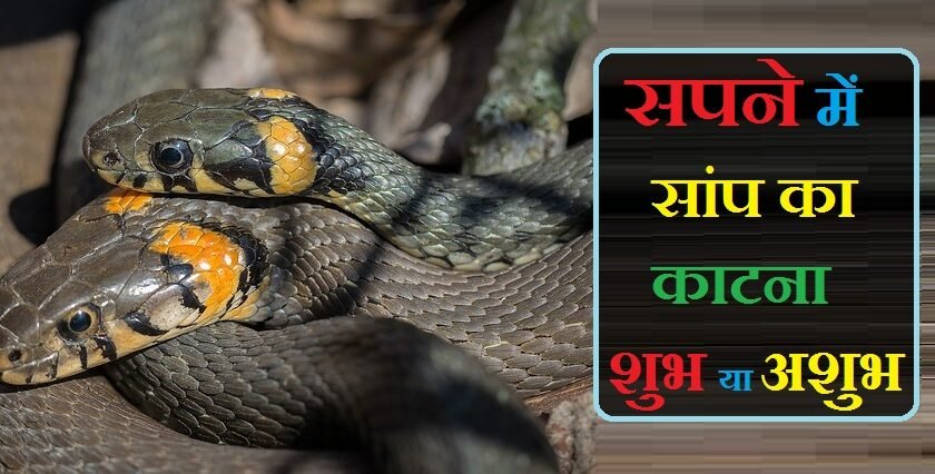 sapne me saap ka katna