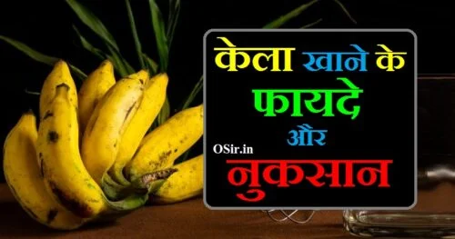 केला खाने के फायदे और नुकसान केला खाने के क्या लाभ हैं kela khane ke fayde bataiye kela khane ke fayde aur nuksan bataen kela khane fayde