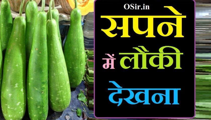 सपने में लौकी देखना, सपने में लौकी देखना क्या होता है, सपने में लौकी देखना बहुत सारी, सपने में लौकी देखना कैसा है, सपने में लौकी देखना क्या मतलब, सपने में लौकी देखना कैसा, सपना में लौकी देखना, सपने में गोल लौकी देखना, सपने में लौकी कद्दू देखना, सपने में लौकी का देखना, sapne mein loki dekhna kaisa hota hai, sapne mein loki dekhna kya hota hai, sapne me loki dekhna kaisa hota hai, sapne mein lauki dekhne ka matlab, sapne mein loki dekhna, sapne me loki dekhne ka matlab, सपने में लौकी देखना कैसा होता है, सपने में लौकी देखना, गर्भवती महिला सपने में लौकी देखना, प्रेगनेंसी में सपने में लौकी देखना, सपने में लौकी देखना क्या मतलब होता है, सपने में लौकी देखना क्या मतलब है, sapne mein loki dikhai dena, sapne mein loki, सपने में लौकी देखना क्या होता है, सपने में लौकी देखना बहुत सारी, सपने में लौकी देखना कैसा है, सपने में लौकी देखना क्या मतलब, सपने में लौकी देखना कैसा, सपना में लौकी देखना, सपने में गोल लौकी देखना, सपने में लौकी कद्दू देखना, सपने में लौकी का देखना, sapne mein loki dekhna kaisa hota hai, sapne mein loki dekhna kya hota hai, sapne me loki dekhna kaisa hota hai, sapne mein lauki dekhne ka matlab, sapne mein loki dekhna, sapne me loki dekhne ka matlab, सपने में लौकी देखना कैसा होता है, सपने में लौकी देखना, गर्भवती महिला सपने में लौकी देखना, प्रेगनेंसी में सपने में लौकी देखना, सपने में लौकी देखना क्या मतलब होता है, सपने में लौकी देखना क्या मतलब है, sapne mein loki dikhai dena, sapne mein loki,