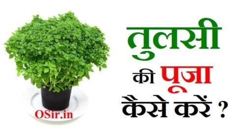तुलसी की पूजा कैसे करें, तुलसी की पूजा कैसे करें बताइए, तुलसी विवाह की पूजा कैसे करें, तुलसी पूजा कैसे करें, कार्तिक मास में तुलसी की पूजा कैसे करें, कार्तिक महीने में तुलसी की पूजा कैसे करें, एकादशी के दिन तुलसी की पूजा कैसे करें, तुलसी माता की पूजा कैसे करें, श्यामा तुलसी की पूजा कैसे करें, tulsi ki puja kaise karni chahie, tulsi ki puja kaise karte hain, tulsi ji ki puja kaise karni chahie, tulsi ki puja kaise ki jaaye, tulsi ji ki puja kaise karen, tulsi ji ki puja kaise karna chahie, तुलसी जी की पूजा कैसे करें, tulsi ki puja kaise hoti hai, tulsi ji ki puja kaise ki jaati hai, tulsi ji ki puja kaise kiya jata hai, तुलसी में दूध चढ़ाने से क्या होता है, रविवार को तुलसी में जल देना चाहिए, तुलसी में जल देने का मंत्र, एकादशी को तुलसी में जल देना चाहिए या नहीं, तुलसी पूजन विधि, तुलसी को जल कब नहीं देना चाहिए, तुलसी का पौधा किसी को देना चाहिए या नहीं, तुलसी माता को सिंदूर लगाना चाहिए, तुलसी पूजन के फायदे, तुलसी पूजन के लाभ, तुलसी की पूजा के नियम, तुलसी की पूजा क्यों की जाती है, तुलसी को जल देने की विधि, तुलसी माता को सिंदूर लगाना चाहिए, तुलसी पूजन मंत्र, तुलसी में दूध चढ़ाने से क्या होता है, तुलसी पूजन की हार्दिक शुभकामनाएं, सुबह पूजा करने के फायदे, tulsi puja ke fayde, tulsi pooja ke fayde, तुलसी पूजन दिवस, tulsi pujan ki vidhi, तुलसी पूजन के फायदे, तुलसी की पूजा क्यों की जाती है, तुलसी की पूजा के नियम, tulsi pujan image, तुलसी को जल देने की विधि, तुलसी में दूध चढ़ाने से क्या होता है, तुलसी माता को सिंदूर लगाना चाहिए, तुलसी का पौधा किसी को देना चाहिए या नहीं, सुबह पूजा करने के फायदे, तुलसी की पूजा क्यों की जाती है, तुलसी की पूजा के नियम, tulsi pujan image, तुलसी को जल देने की विधि, तुलसी में दूध चढ़ाने से क्या होता है, तुलसी माता को सिंदूर लगाना चाहिए, तुलसी का पौधा किसी को देना चाहिए या नहीं, सुबह पूजा करने के फायदेसुबह पूजा करने के फायदे, subah puja karne ke fayde, subah puja karne ka sahi samay, subah puja karne ki vidhi, puja karne ke fayde, subah pooja karne ka sahi samay, तुलसी में दूध चढ़ाने से क्या होता है, तुलसी को जल कब देना चाहिए, तुलसी को जल चढ़ाते समय कौन सा मंत्र बोलना चाहिए, तुलसी को जल देने के फायदे, रविवार को तुलसी में जल देना चाहिए, तुलसी का पौधा किसी को देना चाहिए या नहीं, एकादशी को तुलसी में जल देना चाहिए या नहीं, तुलसी की पूजा के नियम, तुलसी की पूजा क्यों की जाती है, तुलसी पूजन मंत्र, घर में तुलसी का महत्व, तुलसी दिवस कब मनाया जाता है, तुलसी पूजन विधि, तुलसी पूजन दिवस की शुरुआत किसने की, तुलसी दिवस कब और क्यों मनाया जाता है, तुलसी दिवस की हार्दिक शुभकामनाएं, तुलसी जी की आरती लिखी हुई, तुलसी माता की आरती वीडियो, तुलसी माता के मंत्र, तुलसी जी की कथा, तुलसी माता के गीत, तुलसी माता के भजन, तुलसी महारानी नमो नमो आरती, तुलसी माता का विवाह,
