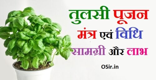 तुलसी पूजन मंत्र तुलसी की पूजा कैसे करें तुलसी पूजन से लाभ तुलसी माता की पूजन विधि tulsi pooja mantra tulsi ki puja kaise kare batao