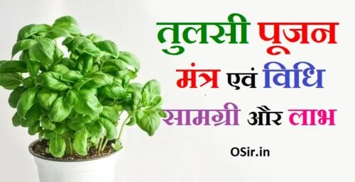 तुलसी पूजन मंत्र तुलसी की पूजा कैसे करें तुलसी पूजन से लाभ तुलसी माता की पूजन विधि tulsi pooja mantra tulsi ki puja kaise kare batao