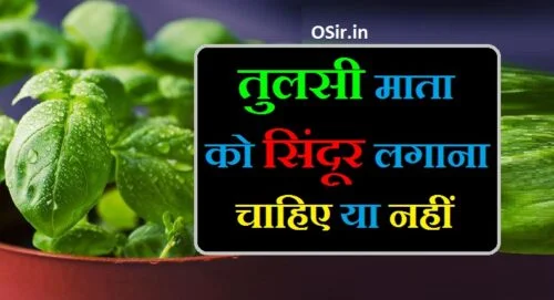 तुलसी माता को सिंदूर लगाना चाहिए या नहीं तुलसी पूजन के फायदे तुलसी जी की पूजा कैसे करें tulsi pooja mantra tulsi ji ki puja kaise karni chahie