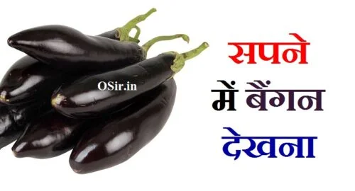 सपने में बैंगन देखना क्या होता है सपने में बैंगन देखने का क्या मतलब होता है sapne mein baigan dekhne ka matlab kya hota hai