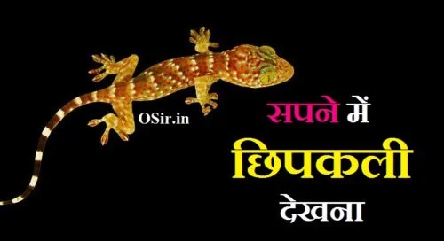 सपने में छिपकली खाना छिपकली सपने में देखने का मतलब सपने में बड़ी छिपकली देखना sapne me chipkali ko marna sapne mein chipkali dekhna shubh hai ya ashubh