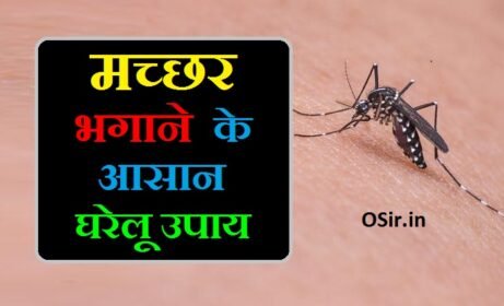 मच्छर भगाने का मंत्र बताइए मच्छर भगाने के घरेलू उपाय बताएं घर से मच्छर भगाने के उपाय machar bhagane ka mantra machar kaise bhagaye ghar se