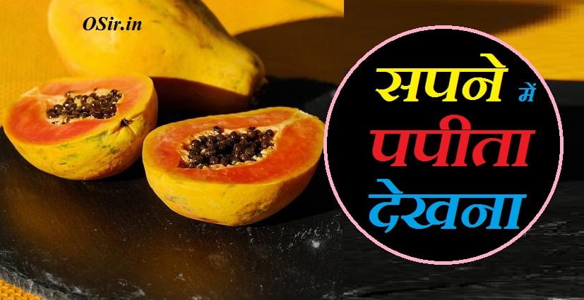 सपने में पपीता देखना कैसा होता है, सपने में पपीता देखना क्या होता है, सपने में पपीता देखना शुभ या अशुभ, सपने में पपीता देखना कैसा है, सपने में हरा पपीता देखना, सपने में पपीता का पेड़ देखना, सपने में पपीता को देखना, सपने में कच्चा पपीता देखना, सपने में पपीता खाते देखना, सपने में पपीता खाते हुए देखना, सपने में पपीते को देखना, सपने में पपीता का पेड़ देखना कैसा होता है, सपने में कटा हुआ पपीता देखना, सपने में पपीता का फल देखना, सपने में पपीता खाना देखना, सपने में पपीता देखना घर में, सपने में पपीता देखना घरेलू, सपने में पपीता देखना चाहिए या नहीं, सपने में पपीता देखना छुपाना, सपने में पपीता देखना छूने, सपने में पपीता देखना जाता है, सपने में पपीता देखना जलते हुए देख, सपने में पपीता देखना झूठा, सपने में पपीता देखना ठीक है, सपने में पपीता तोड़ते हुए देखना, सपने में पपीता देखना देखना, सपने में पपीता देखना दिखना, सपने में पपीता देखना देखने से क्या होता है, सपने में पपीता देखना देखने का मतलब, सपने में पपीता देखना देखने का अर्थ, सपने में पपीता देखना देखने का क्या मतलब, सपने में पपीता देखना देखने का, sapne me papita dekhna in hindi, sapne me papita dekhna kya hota hai, sapne me papita ka ped dekhna, sapne me ped par papita dekhna, sapne me papita todte hue dekhna, sapne me papita aur amrud dekhna, sapne me papita khana dekhna, सपने में पपीता देखना, sapne me paka papita dekhna, सपने में पपीता dekhna अर्थ, sapne me papita dekhna ऐसा होता है, sapne mein papita dekhna hai, sapne mein papita dekhna kaisa hota hai, sapne mein papita dekhna kya hota hai, सपने में पपीता देखना कैसा होता है, सपने में पपीता देखना कैसा है, सपने में पपीते को देखना, सपने में पपीता का पेड़ देखना कैसा होता है, सपने में पपीता खाते देखना, सपने में पपीता खाना देखना, सपने में पपीता dekhna तोड़ना क्या होता है, सपने में पपीता dekhna तोड़ने का मतलब, सपने में पपीता dekhna तोड़ने, सपने में पपीता देखना तोड़ते हुए, सपने में पपीता dekhna देखने से क्या होता है, सपने में पपीता dekhna देखने का मतलब, सपने में पपीता dekhna देखने का अर्थ, सपने में पपीता dekhna देखने का क्या मतलब, सपने में पपीता dekhna देखने का, सपने में पपीता dekhna दिखना,