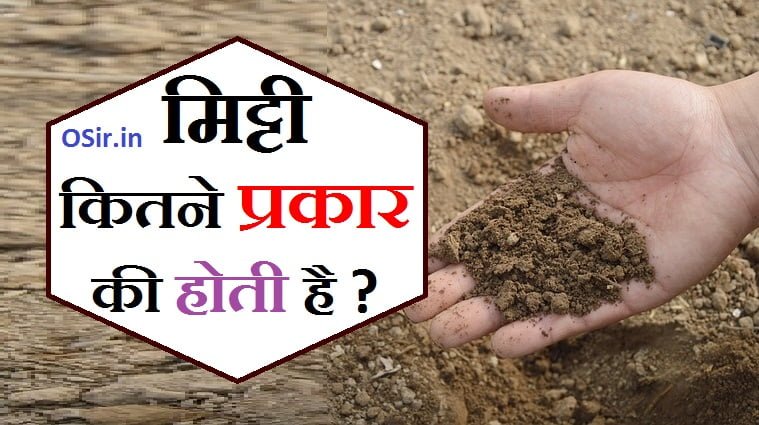 section formation kitne prakar ki hoti hai naam likho