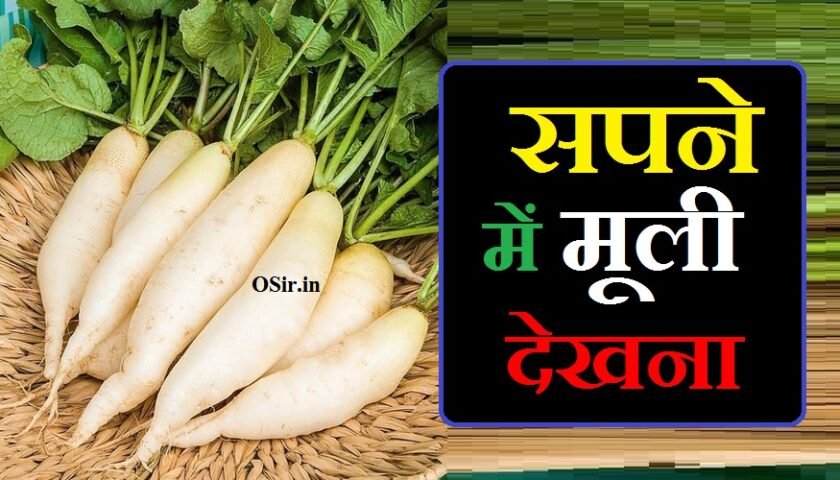 सपने में मूली को देखना, सपने में मूली देखना, सपनों में मूली देखना, सपने में गाजर मूली देखना, सपने में मूली खाते हुए देखना, सपने में मूली देखना क्या होता है, सपने में मूली देखना कैसा होता है, स्वप्न में मूली देखना, sapne muli dekhna, sapne me muli dekhna in hindi, sapne me muli dekhne ka matlab, muli dekhna sapne me, sapne mein muli dekh, sapne mein muli dekhna, sapne mein muli dekhne ka kya matlab hai, sapne mein muli dekhne se kya hota hai, sapne mein muli dekhna hai, sapne mein muli dekhne ka arth, sapne mein muli dekhne ka kya arth hai, sapne mein muli dekhne ka kya matlab, pregnancy mein sapne mein muli dekhna, sapne mein safed muli dekhna, sapne mein mooli ke patte dekhna, sapne mein muli dikhai dena, sapne mein muli dekhna kaisa hota hai, sapne mein muli dekhna kya hota hai, sapne mein muli dekhne ka matlab, sapne mein muli khana, sapne mein muli dekhne ka matlab kya hota hai, sapne me muli dekhna in hindi, khwab mein mooli dekhna, sapne me mooli dekhna, khwab me muli dekhna, khwab mein mooli dekhna ki tabeer, sapne me gajar muli dekhna, khwab mein mooli dekhna kaisa hai, sapne mein muli dekhna kaisa hai, sapne me muli khate dekhna, sapne mein mooli ka dekhna, khwab mein mooli ka dekhnasapne mein muli dekh, sapne mein muli dekhna, sapne mein muli dekhne ka kya matlab hai, sapne mein muli dekhne se kya hota hai, sapne mein muli dekhna hai, sapne mein muli dekhne ka arth, sapne mein muli dekhne ka kya arth hai, sapne mein muli dekhne ka kya matlab, pregnancy mein sapne mein muli dekhna, sapne mein safed muli dekhna, sapne mein mooli ke patte dekhna, sapne mein muli dikhai dena, sapne mein muli dekhna kaisa hota hai, sapne mein muli dekhna kya hota hai, sapne mein muli dekhne ka matlab, sapne mein muli khana, sapne mein muli dekhne ka matlab kya hota hai, sapne me muli dekhna in hindi, khwab mein mooli dekhna, sapne me mooli dekhna, khwab me muli dekhna, khwab mein mooli dekhna ki tabeer, sapne me gajar muli dekhna, khwab mein mooli dekhna kaisa hai, sapne mein muli dekhna kaisa hai, sapne me muli khate dekhna, sapne mein mooli ka dekhna, khwab mein mooli ka dekhna, सपने में मूली देखना, muli dekhna sapne me, muli dekhna, सपने में मूली देखना क्या होता है, सपने में मूली देखना शुभ या अशुभ,