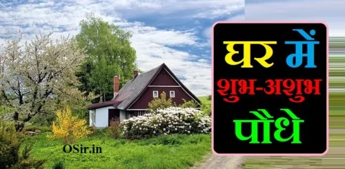 घर में शुभ-अशुभ पौधे, ghar me shubh podhe, ghar me shubh paudhe, ghar me shubh plant, ghar mein shubh paudhe, ghar ke liye shubh podhe, ghar ke liye shubh podhe, ghar ke liye shubh paudhe, ghar ke liye shubh ped paudhe, ghar k liye shubh plant, ghar banane ke liye shubh muhurt, ghar ke liye shubh podhe, ghar ke liye shubh plant, घर के लिए शुभ पौधे कौन-कौन से हैं, वास्तु शास्त्र के अनुसार पेड़-पौधे, घर में कौन सा पौधा लगाने से लक्ष्मी आती है, मरवा का पौधा घर में लगाना चाहिए या नहीं, घर में कौन सा पेड़ नहीं लगाना चाहिए, कौन सा पौधा किस दिशा में लगाना चाहिए, घर के लिए 10 शुभ वृक्ष, गमले के पौधे, घर में कौन से फूल लगाने चाहिए , घर के सामने कौन सा पेड़ लगाना चाहिए, कौन सा फूल घर में लगाना चाहिए, घर में कौन सा पौधा लगाने से लक्ष्मी आती है, मेहंदी का पौधा घर में लगाना चाहिए या नहीं, कदम का पेड़ घर में लगाना चाहिए या नहीं, शमी का पौधा घर में लगाना चाहिए या नहीं, मरवा का पौधा घर में लगाना चाहिए या नहीं, सहजन का पेड़ घर में लगाना चाहिए या नहीं, ghar me shubh podhe, ghar mein shubh paudhe, घर में शुभ-अशुभ पौधे, ghar k liye shubh plant, ghar baithe kaam near me, ghar me shubh podhe, ghar me shubh paudhe, ghar me shubh plant, ghar mein kaun se paudhe shubh hote hain, ghar mein kaun se paudhe shubh hai, ghar ke samne mandir hona shubh ya ashubh, ghar ke liye shubh podhe, ghar me shubh sanket, ghar baithe packing ka kaam near me, ghar ke liye kaun se paudhe shubh hote hain, ghar mein lagane ke liye shubh paudhe, ghar baithe ladies ke liye job, ghar ko ghar banane ke liye, ghar ke liye shayari in hindi, ghar ke liye shubh rang, ghar ke liye shubh podhe, ghar ke liye shubh paudhe, ghar ke liye shubh ped paudhe, ghar k liye shubh plant, ghar banane ke liye shubh muhurt, ghar ke liye shubh plant, घर के लिए शुभ पौधे कौन-कौन से हैं, हरसिंगार का पौधा वास्तु शास्त्र के अनुसार घर के किस दिशा में लगाना चाहिए, घर में कौन सा पेड़ नहीं लगाना चाहिए, घर के लिए 10 शुभ वृक्ष, धन देने वाला पौधा, सकारात्मक ऊर्जा वाले पौधे, ईशान कोण में कौन सा पौधा लगाना चाहिए, एलोवेरा का पौधा घर में लगाना शुभ है या अशुभ, ghar baithe packing ka kaam near me, ghar ke liye kaun se paudhe shubh hote hain, ghar mein lagane ke liye shubh paudhe, ghar baithe ladies ke liye job, ghar ko ghar banane ke liye, ghar ke liye shayari in hindi, ghar ke liye shubh rang, pipal ka ped ghar ke liye shubh ya ashubh, ghar mein kaun sa ped lagane se shubh hota hai, ghar mein kaun sa ped lagane se shubh hota hai, घर में कौन सा पेड़ लगाने से शुभ होता है, ghar mein kaun sa ped shubh hota hai, kaun sa ped ghar mein lagana shubh hota hai, kaun sa ped lagana shubh hota hai, anar ka ped ghar mein lagana shubh hai ya ashubh, ghar mein kaun se ped shubh hote hain, ghar mein kaun se ped lagana shubh hota hai, ghar mein kaun sa ped lagana shubh hota hai, ghar mein kaun se ped paudhe lagana chahie, ghar mein kaun kaun se ped paudhe lagana chahie, ghar mein kaun se ped nahi lagana chahiye, मरवा का पौधा घर में लगाना चाहिए या नहीं, वास्तु शास्त्र के अनुसार पेड़-पौधे, घर के लिए 10 शुभ वृक्ष, गमले के पौधे, धन देने वाला पौधा, घर में मिर्च का पेड़ शुभ या अशुभ, घर में कौन सा पौधा लगाने से लक्ष्मी आती है, घर में कौन सा पेड़ नहीं लगाना चाहिए, घर के लिए शुभ वृक्ष, वास्तु शास्त्र के अनुसार पेड़-पौधे, घर में कौन सा पेड़ नहीं लगाना चाहिए, गमले के पौधे, धन देने वाला पौधा, मरवा का पौधा घर में लगाना चाहिए या नहीं, शुभ फलदायक पौधे, मेहंदी का पेड़ कहां लगाना चाहिए, कटहल का पेड़ शुभ होता है या अशुभ, सहजन का पेड़ शुभ या अशुभ, बादाम का पेड़ शुभ या अशुभ, इमली का पेड़ शुभ या अशुभ, घर में अनार का पेड़ शुभ या अशुभ, जामुन का पेड़ घर में लगाना शुभ है या अशुभ, घर में मिर्च का पेड़ शुभ या अशुभ, घर में चीकू का पेड़ शुभ या अशुभ, घर में मिर्च का पेड़ शुभ या अशुभ, घर में अनार का पेड़ शुभ या अशुभ, घर में चीकू का पेड़ शुभ या अशुभ, नींबू के पेड़ में क्या डालना चाहिए, पपीता का पेड़ शुभ या अशुभ, नींबू का पेड़ घर में किस दिशा में लगाना चाहिए, नींबू का पेड़ लगाने का तरीका, एलोवेरा का पौधा घर में लगाना शुभ है या अशुभ, वास्तु शास्त्र के अनुसार पेड़-पौधे, घर में कौन सा पौधा लगाने से लक्ष्मी आती है, मरवा का पौधा घर में लगाना चाहिए या नहीं, घर में कौन सा पेड़ नहीं लगाना चाहिए, कौन सा पौधा किस दिशा में लगाना चाहिए, घर के लिए 10 शुभ वृक्ष, गमले के पौधे, घर में कौन से फूल लगाने चाहिए,