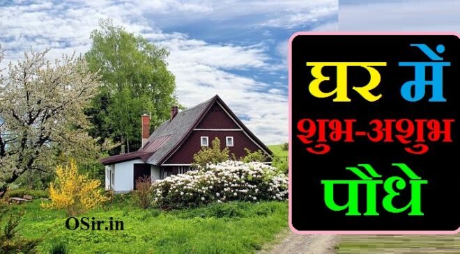 जाने घर में शुभ-अशुभ पौधे : घर पर कौन से पौधे लगाने चाहिये और कौन से नहीं घर में शुभ-अशुभ पौधे, ghar me shubh podhe, ghar me shubh paudhe, ghar me shubh plant, ghar mein shubh paudhe, ghar ke liye shubh podhe, ghar ke liye shubh podhe, ghar ke liye shubh paudhe, ghar ke liye shubh ped paudhe, ghar k liye shubh plant, ghar banane ke liye shubh muhurt, ghar ke liye shubh podhe, ghar ke liye shubh plant, घर के लिए शुभ पौधे कौन-कौन से हैं, वास्तु शास्त्र के अनुसार पेड़-पौधे, घर में कौन सा पौधा लगाने से लक्ष्मी आती है, मरवा का पौधा घर में लगाना चाहिए या नहीं, घर में कौन सा पेड़ नहीं लगाना चाहिए, कौन सा पौधा किस दिशा में लगाना चाहिए, घर के लिए 10 शुभ वृक्ष, गमले के पौधे, घर में कौन से फूल लगाने चाहिए , घर के सामने कौन सा पेड़ लगाना चाहिए, कौन सा फूल घर में लगाना चाहिए, घर में कौन सा पौधा लगाने से लक्ष्मी आती है, मेहंदी का पौधा घर में लगाना चाहिए या नहीं, कदम का पेड़ घर में लगाना चाहिए या नहीं, शमी का पौधा घर में लगाना चाहिए या नहीं, मरवा का पौधा घर में लगाना चाहिए या नहीं, सहजन का पेड़ घर में लगाना चाहिए या नहीं, ghar me shubh podhe, ghar mein shubh paudhe, घर में शुभ-अशुभ पौधे, ghar k liye shubh plant, ghar baithe kaam near me, ghar me shubh podhe, ghar me shubh paudhe, ghar me shubh plant, ghar mein kaun se paudhe shubh hote hain, ghar mein kaun se paudhe shubh hai, ghar ke samne mandir hona shubh ya ashubh, ghar ke liye shubh podhe, ghar me shubh sanket, ghar baithe packing ka kaam near me, ghar ke liye kaun se paudhe shubh hote hain, ghar mein lagane ke liye shubh paudhe, ghar baithe ladies ke liye job, ghar ko ghar banane ke liye, ghar ke liye shayari in hindi, ghar ke liye shubh rang, ghar ke liye shubh podhe, ghar ke liye shubh paudhe, ghar ke liye shubh ped paudhe, ghar k liye shubh plant, ghar banane ke liye shubh muhurt, ghar ke liye shubh plant, घर के लिए शुभ पौधे कौन-कौन से हैं, हरसिंगार का पौधा वास्तु शास्त्र के अनुसार घर के किस दिशा में लगाना चाहिए, घर में कौन सा पेड़ नहीं लगाना चाहिए, घर के लिए 10 शुभ वृक्ष, धन देने वाला पौधा, सकारात्मक ऊर्जा वाले पौधे, ईशान कोण में कौन सा पौधा लगाना चाहिए, एलोवेरा का पौधा घर में लगाना शुभ है या अशुभ, ghar baithe packing ka kaam near me, ghar ke liye kaun se paudhe shubh hote hain, ghar mein lagane ke liye shubh paudhe, ghar baithe ladies ke liye job, ghar ko ghar banane ke liye, ghar ke liye shayari in hindi, ghar ke liye shubh rang, pipal ka ped ghar ke liye shubh ya ashubh, ghar mein kaun sa ped lagane se shubh hota hai, ghar mein kaun sa ped lagane se shubh hota hai, घर में कौन सा पेड़ लगाने से शुभ होता है, ghar mein kaun sa ped shubh hota hai, kaun sa ped ghar mein lagana shubh hota hai, kaun sa ped lagana shubh hota hai, anar ka ped ghar mein lagana shubh hai ya ashubh, ghar mein kaun se ped shubh hote hain, ghar mein kaun se ped lagana shubh hota hai, ghar mein kaun sa ped lagana shubh hota hai, ghar mein kaun se ped paudhe lagana chahie, ghar mein kaun kaun se ped paudhe lagana chahie, ghar mein kaun se ped nahi lagana chahiye, मरवा का पौधा घर में लगाना चाहिए या नहीं, वास्तु शास्त्र के अनुसार पेड़-पौधे, घर के लिए 10 शुभ वृक्ष, गमले के पौधे, धन देने वाला पौधा, घर में मिर्च का पेड़ शुभ या अशुभ, घर में कौन सा पौधा लगाने से लक्ष्मी आती है, घर में कौन सा पेड़ नहीं लगाना चाहिए, घर के लिए शुभ वृक्ष, वास्तु शास्त्र के अनुसार पेड़-पौधे, घर में कौन सा पेड़ नहीं लगाना चाहिए, गमले के पौधे, धन देने वाला पौधा, मरवा का पौधा घर में लगाना चाहिए या नहीं, शुभ फलदायक पौधे, मेहंदी का पेड़ कहां लगाना चाहिए, कटहल का पेड़ शुभ होता है या अशुभ, सहजन का पेड़ शुभ या अशुभ, बादाम का पेड़ शुभ या अशुभ, इमली का पेड़ शुभ या अशुभ, घर में अनार का पेड़ शुभ या अशुभ, जामुन का पेड़ घर में लगाना शुभ है या अशुभ, घर में मिर्च का पेड़ शुभ या अशुभ, घर में चीकू का पेड़ शुभ या अशुभ, घर में मिर्च का पेड़ शुभ या अशुभ, घर में अनार का पेड़ शुभ या अशुभ, घर में चीकू का पेड़ शुभ या अशुभ, नींबू के पेड़ में क्या डालना चाहिए, पपीता का पेड़ शुभ या अशुभ, नींबू का पेड़ घर में किस दिशा में लगाना चाहिए, नींबू का पेड़ लगाने का तरीका, एलोवेरा का पौधा घर में लगाना शुभ है या अशुभ, वास्तु शास्त्र के अनुसार पेड़-पौधे, घर में कौन सा पौधा लगाने से लक्ष्मी आती है, मरवा का पौधा घर में लगाना चाहिए या नहीं, घर में कौन सा पेड़ नहीं लगाना चाहिए, कौन सा पौधा किस दिशा में लगाना चाहिए, घर के लिए 10 शुभ वृक्ष, गमले के पौधे, घर में कौन से फूल लगाने चाहिए,