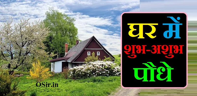 घर में शुभ-अशुभ पौधे, ghar me shubh podhe, ghar me shubh paudhe, ghar me shubh plant, ghar mein shubh paudhe, ghar ke liye shubh podhe, ghar ke liye shubh podhe, ghar ke liye shubh paudhe, ghar ke liye shubh ped paudhe, ghar k liye shubh plant, ghar banane ke liye shubh muhurt, ghar ke liye shubh podhe, ghar ke liye shubh plant, घर के लिए शुभ पौधे कौन-कौन से हैं, वास्तु शास्त्र के अनुसार पेड़-पौधे, घर में कौन सा पौधा लगाने से लक्ष्मी आती है, मरवा का पौधा घर में लगाना चाहिए या नहीं, घर में कौन सा पेड़ नहीं लगाना चाहिए, कौन सा पौधा किस दिशा में लगाना चाहिए, घर के लिए 10 शुभ वृक्ष, गमले के पौधे, घर में कौन से फूल लगाने चाहिए , घर के सामने कौन सा पेड़ लगाना चाहिए, कौन सा फूल घर में लगाना चाहिए, घर में कौन सा पौधा लगाने से लक्ष्मी आती है, मेहंदी का पौधा घर में लगाना चाहिए या नहीं, कदम का पेड़ घर में लगाना चाहिए या नहीं, शमी का पौधा घर में लगाना चाहिए या नहीं, मरवा का पौधा घर में लगाना चाहिए या नहीं, सहजन का पेड़ घर में लगाना चाहिए या नहीं, ghar me shubh podhe, ghar mein shubh paudhe, घर में शुभ-अशुभ पौधे, ghar k liye shubh plant, ghar baithe kaam near me, ghar me shubh podhe, ghar me shubh paudhe, ghar me shubh plant, ghar mein kaun se paudhe shubh hote hain, ghar mein kaun se paudhe shubh hai, ghar ke samne mandir hona shubh ya ashubh, ghar ke liye shubh podhe, ghar me shubh sanket, ghar baithe packing ka kaam near me, ghar ke liye kaun se paudhe shubh hote hain, ghar mein lagane ke liye shubh paudhe, ghar baithe ladies ke liye job, ghar ko ghar banane ke liye, ghar ke liye shayari in hindi, ghar ke liye shubh rang, ghar ke liye shubh podhe, ghar ke liye shubh paudhe, ghar ke liye shubh ped paudhe, ghar k liye shubh plant, ghar banane ke liye shubh muhurt, ghar ke liye shubh plant, घर के लिए शुभ पौधे कौन-कौन से हैं, हरसिंगार का पौधा वास्तु शास्त्र के अनुसार घर के किस दिशा में लगाना चाहिए, घर में कौन सा पेड़ नहीं लगाना चाहिए, घर के लिए 10 शुभ वृक्ष, धन देने वाला पौधा, सकारात्मक ऊर्जा वाले पौधे, ईशान कोण में कौन सा पौधा लगाना चाहिए, एलोवेरा का पौधा घर में लगाना शुभ है या अशुभ, ghar baithe packing ka kaam near me, ghar ke liye kaun se paudhe shubh hote hain, ghar mein lagane ke liye shubh paudhe, ghar baithe ladies ke liye job, ghar ko ghar banane ke liye, ghar ke liye shayari in hindi, ghar ke liye shubh rang, pipal ka ped ghar ke liye shubh ya ashubh, ghar mein kaun sa ped lagane se shubh hota hai, ghar mein kaun sa ped lagane se shubh hota hai, घर में कौन सा पेड़ लगाने से शुभ होता है, ghar mein kaun sa ped shubh hota hai, kaun sa ped ghar mein lagana shubh hota hai, kaun sa ped lagana shubh hota hai, anar ka ped ghar mein lagana shubh hai ya ashubh, ghar mein kaun se ped shubh hote hain, ghar mein kaun se ped lagana shubh hota hai, ghar mein kaun sa ped lagana shubh hota hai, ghar mein kaun se ped paudhe lagana chahie, ghar mein kaun kaun se ped paudhe lagana chahie, ghar mein kaun se ped nahi lagana chahiye, मरवा का पौधा घर में लगाना चाहिए या नहीं, वास्तु शास्त्र के अनुसार पेड़-पौधे, घर के लिए 10 शुभ वृक्ष, गमले के पौधे, धन देने वाला पौधा, घर में मिर्च का पेड़ शुभ या अशुभ, घर में कौन सा पौधा लगाने से लक्ष्मी आती है, घर में कौन सा पेड़ नहीं लगाना चाहिए, घर के लिए शुभ वृक्ष, वास्तु शास्त्र के अनुसार पेड़-पौधे, घर में कौन सा पेड़ नहीं लगाना चाहिए, गमले के पौधे, धन देने वाला पौधा, मरवा का पौधा घर में लगाना चाहिए या नहीं, शुभ फलदायक पौधे, मेहंदी का पेड़ कहां लगाना चाहिए, कटहल का पेड़ शुभ होता है या अशुभ, सहजन का पेड़ शुभ या अशुभ, बादाम का पेड़ शुभ या अशुभ, इमली का पेड़ शुभ या अशुभ, घर में अनार का पेड़ शुभ या अशुभ, जामुन का पेड़ घर में लगाना शुभ है या अशुभ, घर में मिर्च का पेड़ शुभ या अशुभ, घर में चीकू का पेड़ शुभ या अशुभ, घर में मिर्च का पेड़ शुभ या अशुभ, घर में अनार का पेड़ शुभ या अशुभ, घर में चीकू का पेड़ शुभ या अशुभ, नींबू के पेड़ में क्या डालना चाहिए, पपीता का पेड़ शुभ या अशुभ, नींबू का पेड़ घर में किस दिशा में लगाना चाहिए, नींबू का पेड़ लगाने का तरीका, एलोवेरा का पौधा घर में लगाना शुभ है या अशुभ, वास्तु शास्त्र के अनुसार पेड़-पौधे, घर में कौन सा पौधा लगाने से लक्ष्मी आती है, मरवा का पौधा घर में लगाना चाहिए या नहीं, घर में कौन सा पेड़ नहीं लगाना चाहिए, कौन सा पौधा किस दिशा में लगाना चाहिए, घर के लिए 10 शुभ वृक्ष, गमले के पौधे, घर में कौन से फूल लगाने चाहिए,