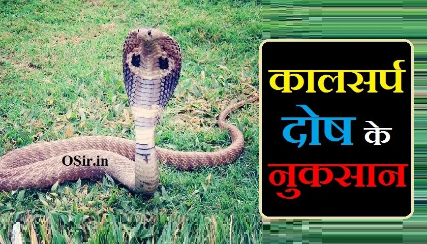 कालसर्प दोष क्या है ,, कालसर्प दोष क्या है इन हिंदी,, काल सर्प दोष क्या है,, कालसर्प दोष क्या है in hindi,, कालसर्प दोष क्या होता है इन हिंदी,, कालसर्प दोष के लक्षण क्या है,, कालसर्प दोष का निवारण क्या है,, कालसर्प दोष से क्या होता है,, आंशिक कालसर्प दोष क्या होता है,, कालसर्प दोष कितने प्रकार के होते हैं,, कालसर्प दोष के फायदे,, कालसर्प दोष के नुकसान,, कालसर्प दोष का निवारण कहां होता है,, कालसर्प दोष के लक्षण और उपाय,, कर्कोटक कालसर्प दोष लक्षण,, कालसर्प दोष सच या झूठ,, कालसर्प दोष का मंत्र,, कालसर्प दोष के लक्षण क्या है,, कालसर्प दोष के लक्षण क्या होते हैं,, kaal sarp dosh kya hota hai hindi,, कालसर्प दोष के फायदे,, कालसर्प दोष के नुकसान,, राहु-केतु कालसर्प दोष,, कालसर्प दोष के लक्षण और उपाय,, कालसर्प दोष के फायदे,, कालसर्प दोष कितने प्रकार के होते हैं,, नाग दोष के लक्षण,, काल सर्प दोष इफ़ेक्ट व मैरिज,, कालसर्प दोष निवारण पूजा pdf,, kaal sarp dosh kya hota h in hindi,, kaal sarp dosh ke lakshan in hindi,, kaal sarp dosh kya hota hai in hindi,, kaal sarp dosh kya hota hai hindi mein,, kaal sarp dosh ke prakar in hindi,, kaal sarp dosh se kya nuksan hota hai,, kaal sarp dosh kya hota hai hindi,, kaal sarp dosh kya hai in hindi,, kaldosh kya hota hai,, कालसर्प दोष के फायदे,, kya hota hai kaal sarp dosh,, kaal dosh kya hota hai,, kaal sarp dosh ke lakshan in hindi,, meaning of kaal sarp dosh,, how many types of kaal sarp dosh,, difference between kaal sarp yog and dosh,, what is a kaal sarp dosh,, kaal sarp dosh ke lakshan in hindi,, kaal sarp dosh ke prakar in hindi,, kaal sarp ke lakshan,, kaal sarp dosh ke fayde,, kaal sarp dosh puja ke fayde,, padam kaal sarp dosh ke fayde,, kulik kaal sarp dosh ke fayde,, anant kaal sarp dosh ke fayde,, takshak kaal sarp dosh ke fayde,, meaning of kaal sarp dosh,, how many types of kaal sarp dosh,, what happens when you have kaal sarp dosh,, what is a kaal sarp dosh,, what to do in kaal sarp dosh,, kaal sarp dosh ke fayde,, kaal sarp yog ke fayde,, kaal sarp dosh ke liye kya karna chahiye,, kaal sarp dosh kya hota h,, kaal sarp dosh kya hota hai,, kaal sarp dosh kyon hota hai,, kaal sarp dosh ke gharelu upay,, kaal sarp dosh se kya nuksan hota hai,, how many types of kaal sarp dosh,, meaning of kaal sarp dosh,, difference between kaal sarp yog and dosh,, what is a kaal sarp dosh,, kaal sarp dosh se kya nuksan hota hai,, kaal sarp dosh se kya hota hai,, kaal sarp dosh kya hota hai hindi,, kaal sarp dosh kya hai aur uska nivaran kya hai,, kaal sarp dosh kya hota hai hindi mein,, kaal sarp dosh kya h in hindi,, kaal sarp dosh se hone wali pareshani,, kaal sarp dosh kya hota h in hindi,, kaal sarp dosh kya hai in hindi,, kaal sarp dosh kya hota hai hindi mein,, kaal sarp yog kya hota hai in hindi,, meaning of kaal sarp dosh,, kaal sarp dosh example,, kaal sarp dosh meaning in english,, kaal sarp dosh kya hota hai in hindi,, kaal sarp dosh kya hota h in hindi,, kaal sarp dosh kya hai in hindi,, how many types of kaal sarp dosh,, कालसर्प दोष क्या है,, कालसर्प दोष के फायदे,, शेषनाग कालसर्प दोष के फायदे,, कालसर्प दोष के फायदे,, kaal sarp dosh ke fayde,, कालसर्प दोष के नुकसान,, कालसर्प दोष के लक्षण और उपाय,, कालसर्प दोष के फायदे,, कालसर्प दोष के लक्षण,, कालसर्प दोष कितने प्रकार के होते हैं,, सावन में कालसर्प दोष के उपाय,, कालसर्प दोष निवारण पूजा pdf,, कालसर्प दोष का मंत्र,, कालसर्प दोष निवारण पूजा pdf,, कालसर्प दोष के नुकसान,, कालसर्प दोष कितने होते है,, कालसर्प दोष के फायदे,, कालसर्प दोष के लक्षण और उपाय,, कर्कोटक कालसर्प दोष लक्षण,, कालसर्प दोष पूजा सामग्री,, कालसर्प दोष का मंत्र,, कालसर्प दोष निवारण पूजा pdf,, कालसर्प दोष के नुकसान,, सर्प पूजन मंत्र,, कालसर्प दोष पूजा सामग्री,, नाग दोष निवारण मंत्र,, कालसर्प दोष सच या झूठ,, कालसर्प दोष के फायदे,, कालसर्प दोष पूजा विधि,, ,, ,, ,, ,, ,,