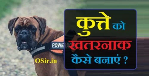 कुत्ते को खतरनाक कैसे बनाएं,, देसी कुत्ते को खतरनाक कैसे बनाएं,, कुत्ते को भोकना कैसे सिखाएं,, कुत्ते के नाम,, कुत्ते को खतरनाक ,, कुत्ते को खतरनाक कैसे बनाएं,, कुत्ते को खतरनाक कैसे बनाते हैं,, देसी कुत्ते को खतरनाक कैसे बनाएं,, कुत्ते खतरनाक,, कुत्ते खतरनाक है,, duniya ke sabse khatarnak kutte ke naam,, bahut khatarnak kutta,, खतरनाक कुत्ते नस्लों,, कुत्ता खतरनाक,, खतरनाक कुत्ते की लड़ाई,, पिटबुल कुत्ते खतरनाक,, कुत्ते की खतरनाक,, सबसे खतरनाक कुत्ते,, khatarnak kutte khatarnak kutte,, dj khatarnak dj,, dj khatarnak,, dog khatarnak dog,, khatarnak jeev,, khatarnak jantu,, खतरनाक कुत्ता का आवाज,, khatarnak kutte ki ladai,, दुनिया के खतरनाक कुत्ते,, 10 सबसे खतरनाक कुत्ते,, 10 खतरनाक कुत्ते,, कुत्ते की आवाज खतरनाक,, khatarnak kutte ki photo,, duniya ka sabse khatarnak kutta kaun sa hota hai,, duniya ka sabse khatarnak kutta kaun sa hai,, sabse khatarnak kutta kaun sa hai,, duniya ka sabse khatarnak kutta kaun hai,, duniya mein sabse khatarnak kutta kaun hai,, duniya ke sabse khatarnak kutte ka naam,, duniya ka sabse khatarnak kutte ka naam,, duniya ka sabse khatarnak kutta ka naam,, दुनिया के सबसे खतरनाक कुत्ते का नाम बताइए,, duniya ka khatarnak kutta,, duniya ke khatarnak kutte,, duniya ke sabse khatarnak 5 kutte,, बहुत खतरनाक कुत्ता,, बहुत खतरनाक कुत्ते,, kutta kutta hai kya,, bahut khatarnak kutte,, bahut kutta,, bahut kutta kutta,, bahut kutte,, bahut khatarnak log hai meme,, सबसे खतरनाक कुत्ते नस्लों,, khatarnak kutta kaun sa hai,, khatarnak dog name,, sabse khatarnak kutte ki nasl,, khatarnak kutta ka photo,, सबसे खतरनाक कुत्ता,, सबसे खतरनाक कुत्ता कौन सा है,, सबसे खतरनाक कुत्ता दुनिया का,, खतरनाक कुत्ता कौन सा है,, कुत्ता की लड़ाई खतरनाक,, khatarnak bulldog,, सबसे खतरनाक कुत्ता है,, खतरनाक कुत्तों के नाम,, खतरनाक कुत्तों के बारे में जानकारी,, पिटबुल कुत्ता खतरनाक,, सबसे खतरनाक कुत्ता कौन है,, दुनिया का खतरनाक कुत्ता,, दुनिया सबसे खतरनाक कुत्ता,, सबसे खतरनाक कुत्ते की लड़ाई,, पिटबुल कुत्ते कितने खतरनाक होते हैं,, पिटबुल कुत्ता कितना खतरनाक होता है,, पिटबुल कुत्ता कितना खतरनाक है,, pitbull kutta dog,, कुत्ते की खतरनाक लड़ाई,, कुत्ते भोकने की आवाज खतरनाक,, सबसे खतरनाक कुत्ते का नाम,, सबसे खतरनाक कुत्ते की प्रजाति,, सबसे खतरनाक कुत्ते की नस्ल,, सबसे खतरनाक कुत्ते की फोटो,, सबसे खतरनाक कुत्ते की आवाज,, सबसे खतरनाक कुत्ते का नाम बताइए,, सबसे खतरनाक कुत्ते कौन से हैं,, सबसे खतरनाक कुत्ते कौन से होते हैं,, सबसे खतरनाक कुत्ता क्या है,, sabse khatarnak kutta kaun hai,, sabse khatarnak kutta ka naam,,