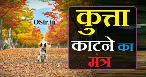 कुत्ता काटने का मंत्र, kutta katne ka mantra, kutte ka mantra, kutta mantra, kutta katne ka ayurvedic ilaj, kutte katne ka ilaj, kutte katne ka sapna, kutte katne ka injection, कुत्ता काटने पर क्या खाना चाहिए, kutta katne ka ilaj, kutte katne ke gharelu upay, jitne ka mantra, kutta katne ka tarika, kutta katne ka upchar, kutta katne ka dawa, kutta katne ka desi ilaj, kutta katne ka gharelu upay, kutta katne ka gharelu ilaj, kutta katne ka injection, kutta katne ka sapna, kutta katne ki machine, kutta katne ki dua, kutte se baat karne ka mantra, kale kutte ka mahatva, kutte ka name list, kutte ka doctor ka number, kutte ka mahatva, kutte ka mandir, kutte ka marna, kutte ka map, kutte ka matlab, om tryambakam mantra in hindi, kala kutta meaning, daily mantra in hindi, kutta mantri, kutti chetan mantra, kubera mantra in english pdf, kuber mantra english, kutta mandir, kutta meaning in sanskrit, kutta ka mantra, kala kutta price, kubera mantra for lottery, kuber mantra odia, kutta quotes, kuber mantra ringtone, uttar mantra, kutta wala mantra, om shanti mantra in english, कुत्ता काटने का आयुर्वेदिक इलाज, कुत्ते काटने का आयुर्वेदिक इलाज, kutta katne ki ayurvedic dawa, kutta katne ka ilaj hindi, kutta katne ka ilaj kya hai, kutte ke katne ka ilaj in english, pagal kutta katne ka ilaj, pagal kutte ke katne ka ilaj, कुत्ते काटने का इलाज, bakri ko kutta katne ka ilaj, kutte ke katne ka desi ilaj, kutta katne ka ilaj gharelu, kutta katne ka ilaj in hindi, कुत्ते के काटने का इलाज इन हिंदी, kutte ke katne ka ilaj, kutte ke katne ka gharelu ilaj, kutta katne ka injection name, kuta katne ka ilaj, kala kutta katne ka sapna, kutta katne ka sapna ka matlab, sapna ka time, apple ka sapna dekhna, sapna ka temperature, sapna ka number, kutta katne ka sapna aana, ka se aane wale shabd, kutta katne ka sapna kaisa hota hai, kutta katna sapna, kutta katne ka matlab kya hota hai, kuta katne ka sapna, kutte katne ka injection price, kutta katne ka injection price, kutta katne ka injection kaha lagta hai, kutta katne ka injection in hindi, kutte ke katne ka injection name, कुत्ते काटने का इंजेक्शन, kutta katne ka injection kitne ka aata hai, dog ke katne ka injection price, dog katne ka injection price, bandar katne ka injection price, kutta katne ka injection ka naam, kutta katne ka injection kitne din mein lagana chahiye, kutta katne ka injection kitne lagte hai, kutta katne ka injection kab lagta hai, tt injection ke fayde, kutte ke katne ka injection price, कुत्ते के काटने पर इंजेक्शन name, कुत्ते के काटने पर इंजेक्शन price, कुत्ते के काटने पर इंजेक्शन price 2021, kutte ke injection price, kutta katne ke injection, kuta katne ka injection, कुत्ते काटने पर क्या खाना चाहिए, कुत्ता काटने पर क्या नहीं खाना चाहिए, कुत्ता काटने पर क्या nahi खाना चाहिए, कुत्ते के काटने पर क्या खाना चाहिए, कुत्ते काटने पर क्या नहीं खाना चाहिए, कुत्ता काटने पर क्या चीज नहीं खाना चाहिए, कुत्ते के काटने पर क्या नहीं खाना चाहिए, कुत्ते के काटने पर क्या नही खाना चाहिए,