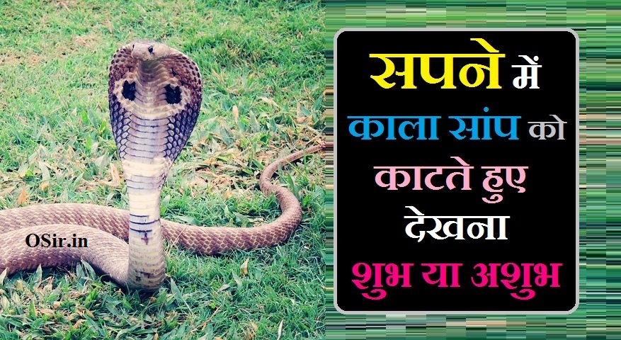 सपने में काला सांप को काटते हुए देखना शुभ या अशुभ सपने में काला सांप को काटते हुए देखना शुभ या अशुभ, सपने में काला सांप को देखना, सपने में सांप को देखना शुभ है या अशुभ, sapne kala saap dekhna, sapne mein kale saap ka katna kaisa hota hai, सपने में सांप को देखना का मतलब, सपने में सांप को देखना, सपने में सांप को मारते हुए देखना, सपने में काला सांप को देखना का मतलब, सपने में काले सांप को देखना, सपने में काले सांप को देखना क्या होता है, सपने में काला नाग सांप को देखना, सपने में काला सांप को मारते हुए देखना, सपने में काला सांप को काटते हुए देखना, सपने में काले सांप को भागते हुए देखना, सपने में काला सांप को पानी में तैरते हुए देखना, सपने में सफेद या चमकीला सांप देखना, sapne mein safed saap dekhne ka matlab, sapne mein safed saap dekhne ka kya matlab hota hai, sapne me safed saap dekhne ka matlab, सपने में सफेद सांप को देखने का मतलब, sapne mein saap dekhne ka matlab kya hota hai, sapne mein safed saap dekhna kaisa hota hai, sapne mein safed saap ka dikhna, sapne mein saap dekhne ka kya matlab hota hai, sapne me safed saap dekhna kya hota hai, sapne me saap dekhne ka matlab kya hota hai, sapne me safed saap dekhna kaisa hota hai, सपने में सफेद सांप देखने का क्या अर्थ होता है, सपने में सफेद सांप देखने का क्या अर्थ हैसांप के काटने से मरते हुए देखना, saamp ke kaatne per kya karen, saamp ke kaatne se, saap ke katne se maut, saap ke katne se kya hota hai, saap ke katne ka sapna dekhna, saanp ke katne ka sapna, saamp ke kaatne, sap ke katne se kya hota hai, saamp kaatne ke lakshan, saamp ke kaatne per, saamp kaatne se kya hota hai, sapne me kala saap dekhna kaisa hota hai, sapne mein kala naag ko dekhna, sapne kala naag dekhna, sapne me kala saap dekhna in hindi, sapne me kala saap ka joda dekhna, sapne me kala saap dekhne ka matlab, सपने में काला सांप देखना इसका क्या अर्थ है, सपने में सांप को काटते हुए देखना शुभ या अशुभ, सांप का सपना देखना शुभ है या अशुभ, सपने में सांपों को देखना शुभ या अशुभ, sapne me saap dekhna shubh ya ashubh in hindi, sapne me saap ko dekhna shubh ya ashubh, saap dekhna shubh ya ashubh, sapne me kala saap dekhna kya hota h, sapne mein kala saap dekhna shubh ya ashubh, sapne me safed kala saap dekhna, sapne me lamba kala saap dekhna, sapne mein lal aur kala saap dekhna, sapne mein safed aur kala saap dekhna, kala saap dekhna kaisa hota hai, saap ka sapna kyu aata hai, sapne me bada kala saap dekhna, sapne me kala saap ka bacha dekhna, sapne mein bada kala saap dekhna, sapne me bahut bada kala saap dekhna, sapne mein kala saap ko bhagte hue dekhna, sapne me chhota kala saap dekhna, raste me kala saap dekhna, sapne me kala safed saap dekhna, sapne me kala naag saap dekhna, sapne mein kala safed saap dekhna, sapne me kala peela saap dekhna, sapne me kala saap marna dekhna, sapne mein kala saap dekhna kaisa hota hai, sapne me kala saap dekhna kya hota hai, sapne mein kala saap dekhna kya hota hai, sapne me ghar me kala saap dekhna, sapne mai kala saap dekhna kaisa hai, sapne mein kala saanp khate hue dekhna, sapne mein kala saap ko dekhna, sapne me kala saap ka katna dekhna, sapne me kala saap dekhna, sapne me pani me kala saap dekhna, pregnancy me sapne me kala saap dekhna, sapne mein kala rang ka saap dekhna, sapne mein kala saap dekhne se kya hota hai, sapne mein kala sanp dekhna, sapne me sanp dekhna kala, sapne mein kala saap dekhne ka matlab, sapne mein kale saap ka katna, sapne mein saap ka katna shubh hota hai ya ashubh, saap ka katna sapne mein kaisa hota hai, sapne mein kale saap ka dikhna, sapne mein kale saap ka dekhna, sapne mein kala saap katne se kya hota hai, sapne mein kala saap ka katna, sapne mein saanp ka katna kaisa hota hai, sapne mein kale nag ka katna, sapne mein saap ka katna shubh ya ashubh, सपने में हरा सांप को देखना का मतलब, सपने में दो सांप को देखना का मतलब, सपने में सांप को देखना क्या मतलब होता है, सपने में सांप को देखना क्या मतलब है, सपने में सांप देखना क्या मतलब है, sapne me saap ko dekhne ka matlab kya hota hai, sapne me saap dekhna ka matlab kya hota hai, sapne mein saamp ko dekhne ka kya matlab hota hai, sapne me saap ko dekhna kaisa hota hai, sapne mein saamp ko dekhne ka matlab kya hota hai, सपने में सांप को देखना शुभ या अशुभ, सपने में सांप को देखना और काटना, सपने में सांप को देखना क्या होता है, सपने में सांप को देखना और मारना, सपने में सांप को देखना काटते हुए, सपने में सांप का देखना कैसा होता है, sapne me saap ko dekhna kya hota hai, sapne me saap ko dekh kar bhagna, सपने में नाग सांप को देखना, सपने में hara सांप को देखना, सपने में सांप को देखना कैसा है, सपने में सांप देखना in hindi, सपने में सांप को देखना कैसा होता है, सपने में सांप देखना इन हिंदी, सपने में सांप को देखना क्या होता है बताइए, सपने में lal सांप को देखना, sapne mai saap ko dekhna kaisa hota hai, sapne mai saap ko dekhna kya hota hai, सपने में सांप को नाचते हुए देखना, sapne me saap dekhna or marna, sapne me saap dekhna or katna, सपने में सफेद सांप को देखना क्या होता है, सपने में सांप को मारते हुए देखना क्या होता है, सपने में सांप को देखना क्या माना जाता है, sapne me saap ko rengte dekhna, सपने में safed सांप को देखना, सपने में सांप को मरते हुए देखना, स्वप्न में सांप को मारते हुए देखना, सपने में सफेद सांप को मारते हुए देखना, सपने में सांप के बच्चे को मारते हुए देखना, सपने में सांप मारते हुए देखना क्या होता है, सपने में काले सांप को मारते हुए देखना, सपने में काला सांप मारते हुए देखना, sapne me saap ko marte hue dekhna kaisa hota hai, sapne me saap ko marte hue dekhna, सपने में खुद को सांप को मारते हुए देखना, sapne me saap ko marte huye dekhna, sapne mein kala saap dekhne ka kya matlab hai, सपने में काले सांप को पानी में तैरते हुए देखना, सपने में काला सांप देखना वीडियो, sapne mein kale naag ko dekhna, sapne me kale naag ko dekhna, sapne me kale nag ko dekhna, sapne me kala insan dekhna, sapne mein kale saap ka joda dekhna, sapne me kale saap ka joda dekhna, sapne me kale saap ko dekhna, sapne mein kale saap ko dekhna, sapne mein kale saap dekhna, sapne me kale rang ka saap dekhna, sapne mein kale rang ka saap dekhna, sapne mein kala naag dekhna kaisa hota hai, sapne mein kala nag dekhna kaisa hota hai, sapne mein kala saanp ko marte hue dekhna, सपने में काला सांप काटते हुए देखना, sapne mein kala saamp dikhe to kya hota hai, sapne mein saanp ko pani mein terte hue dekhna, sapne me kala saap pani me dekhna,