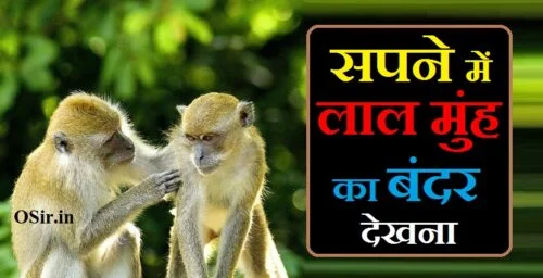 सपने में काले मुंह का बंदर देखना,, सपने में बंदर को काटते हुए देखना,, सपने में दो बंदर देखना,, सपने में सफेद बंदर देखना,, सपने में बंदर को आम खाते हुए देखना,, बंदर देखना है,, सुबह सुबह बंदर देखने से क्या होता है?,, सपने में बंदरों का झुंड देखना,, सपने में लाल मुंह का बंदर देखना,, सपने में लाल मुंह के बंदर देखना,, सपने में बंदर को काटते हुए देखना,, सपने में लाल मुंह का बंदर देखना,, सपने में बहुत सारे बंदर देखना,, सपने में काले मुंह का बंदर देखना,, सपने में दो बंदर देखना,, बंदर देखना है,, सपने में सफेद बंदर देखना,, सुबह सुबह बंदर देखने से क्या होता है?,, बंदर को काटते हुए देखना,, सपने में बंदर को काटते हुए देखना,, बंदर को खाते हुए देखना,, सपने में बंदर को खाते हुए देखना,, सपने में बंदर को आम खाते हुए देखना,, सपने में बंदर देखना क्या होता है,, सपने में बंदर को काटते हुए देखना,, सपने में काले मुंह का बंदर देखना,, सपने में लाल मुंह का बंदर देखना,, सपने में दो बंदर देखना,, सपने में सफेद बंदर देखना,, सपने में बन्दर से डरना,, सपने में तीन बंदर देखना,, सपने में बंदर का झुंड देखना,, सपने में बंदर को मारते देखना,, सपने में बंदर को मरते हुए देखना,, sapne mein bandar ko marte hue dekhna,, sapne me bandar ko marte hue dekhna,, sapne mein bandar ko marte dekhna,, sapne mein bandar ko dekhne ka matlab,, sapne mein bandar ko dekhna kya hota hai,, sapne mein bandar ko dekhna kaisa hota hai,, sapne mein bandar ko khate hue dekhna,, sapne me bandar ko marte dekhna,, sapne mein bandar ko gusse mein dekhna,, sapne me bandar ko jaan se marna,, sapne me bandar ko marna dekhna,, sapne me bandar ko roti dena,, sapne me bandar ko dande se marna,, sapne mein bandar ko dekhne se kya hota hai,, सपने में बन्दर को मरते हुए देखना,, सपने में बंदर को मारते हुए देखना,, sapne me bandar ko pathar marna,, sapne me bandar marna,, sapne me bandar ko mar dena,, sapne mein bandar ko marna,, sapne mein bandar ko bhagte hue dekhna,, sapne mein bandar ko dekhne ka matlab kya hota hai,, sapne me bandar ko dekhne ka matlab,, सपने में बंदर को देखने का मतलब,, sapne mein bandar dekhne ka matlab kya hai,, sapne mein bandar dekhne ka matlab kya hota hai,, सपने में बंदर को देखने का क्या मतलब है,, सपने में बंदर को देखने का मतलब क्या होता है,, khwab mein bandar ko dekhna kaisa hota hai,, सपने में बंदर को देखना क्या होता है,, सपने में बंदर को देखना क्या मतलब होता है,, sapne mein bandar dekhna kya hota hai,, sapne mein bandar dekhna kya matlab hota hai,, sapne mein bandar dekho to kya hota hai,, sapne mein bandar ko dekhne ka kya matlab hota hai,, सपने में बंदर को देखना कैसा होता है,, sapne mein bandar dekhna kaisa hota hai,, sapne mein bandar dekhna kaisa hai,, sapne mein bandar ko khate hue dekhna kaisa hota hai,, सपने में बंदर को खाते हुए देखना,, सपने में बंदर को आम खाते हुए देखना,, sapne mein bandar ko khate dekhna,, sapne mein bandar ko khana khilana,, sapne me bandar ko khate dekhna,, sapne me bandar ko gusse me dekhna,, sapne me bandar gusse me dekhna,, sapne mein bandar se ladai karna,, sapne me bandar ko marna,, sapne me bandar ko roti khilana,, sapne mein bandar ko roti khilana,, sapne me bandar ko khana khilana,, sapne me bandar ko ladte dekhna,, सपने में बंदरों का झुंड देखना,, sapne mein bandar ka jhund dekhna,, sapne mein bandar ka dekhna shubh ya ashubh,, sapne mein bandaron ka jhund dekhna,, sapne mein bandar dekhna shubh ya ashubh,, sapne mein bandar ka dekhna kaisa hota hai,, sapne mein bandar dekhne ka kya matlab,, sapne mai bandar ka jhund dekhna,, sapne me bandar ka jhund dekhna,, sapne mein bandar dekhna shubh hota hai ya ashubh,, सपने में बंदरों के झुंड को देखना,, bandaro ka jhund,, bandaron ka jhund video,, सपने में बन्दर का झुंड देखना,, sapne mein bandar dekhna ka matlab,, sapne mein bandar dekhne ka arth,, bandar ko dekhna hai,, bandar ko dekhna,, bandar ko sapne mein dekhna kaisa hota hai,, sapne mein bandar ko marte hue dekhna,, sapne me bandar ko marte hue dekhna,, bandar ko video,, sapne mein bandar ko khate hue dekhna,, sapne mein bandar katne ka matlab kya hota hai,, sapne mein bandar katne se kya hota hai,, sapne mein bandar katne ka matlab,, sapne mein bandar kat le to kya hota hai,, sapne mein bandar ka katna dekhna,, sapne mein bandar ke katne ka matlab,, sapne mein lal muh ka bandar dekhna,, sapne me lal muh ka bandar dekhna,, sapne mein lal bandar dekhna,, lal muh wala bandar,, sapne mein bandar dekhna ka matlab,, sapne mein kale muh ka bandar dekhna,, sapne mein bandar dekhne ka matlab,, bandar ko khana khilana,, bandar ko dekhna hai,, sapne mein bandar ko khate hue dekhna,, bandar ko dikhao,, bandar ko kya pasand hai,, bandar kya khata hai,, bandar ko roti khilana,, sapne me bandar ko khate dekhna,, bandar ko video,, bandar ko dikhaiye,, sapne mein bandar ko khate dekhna,, sapne mein bandar ko khana khilana,, sapne mein bandar ko dekhna kya hota hai,,