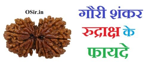 गौरी शंकर रुद्राक्ष