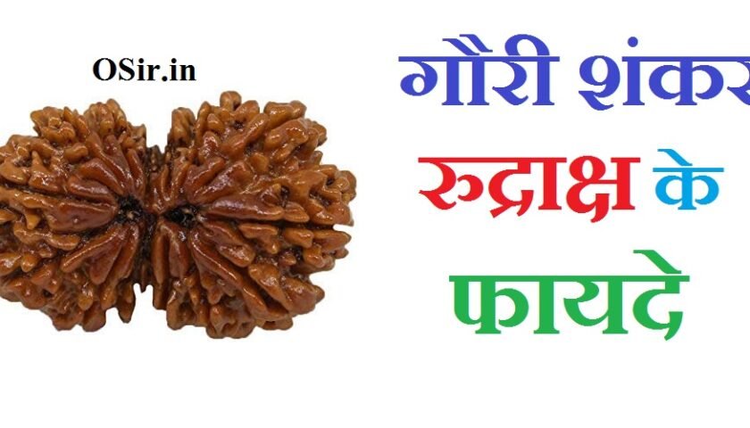 गौरी शंकर रुद्राक्ष