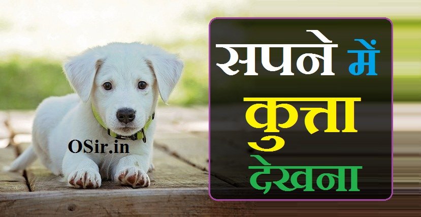 sapne me kutta dekhna
