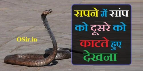 सपने में सांप को दूसरे को काटते हुए देखना